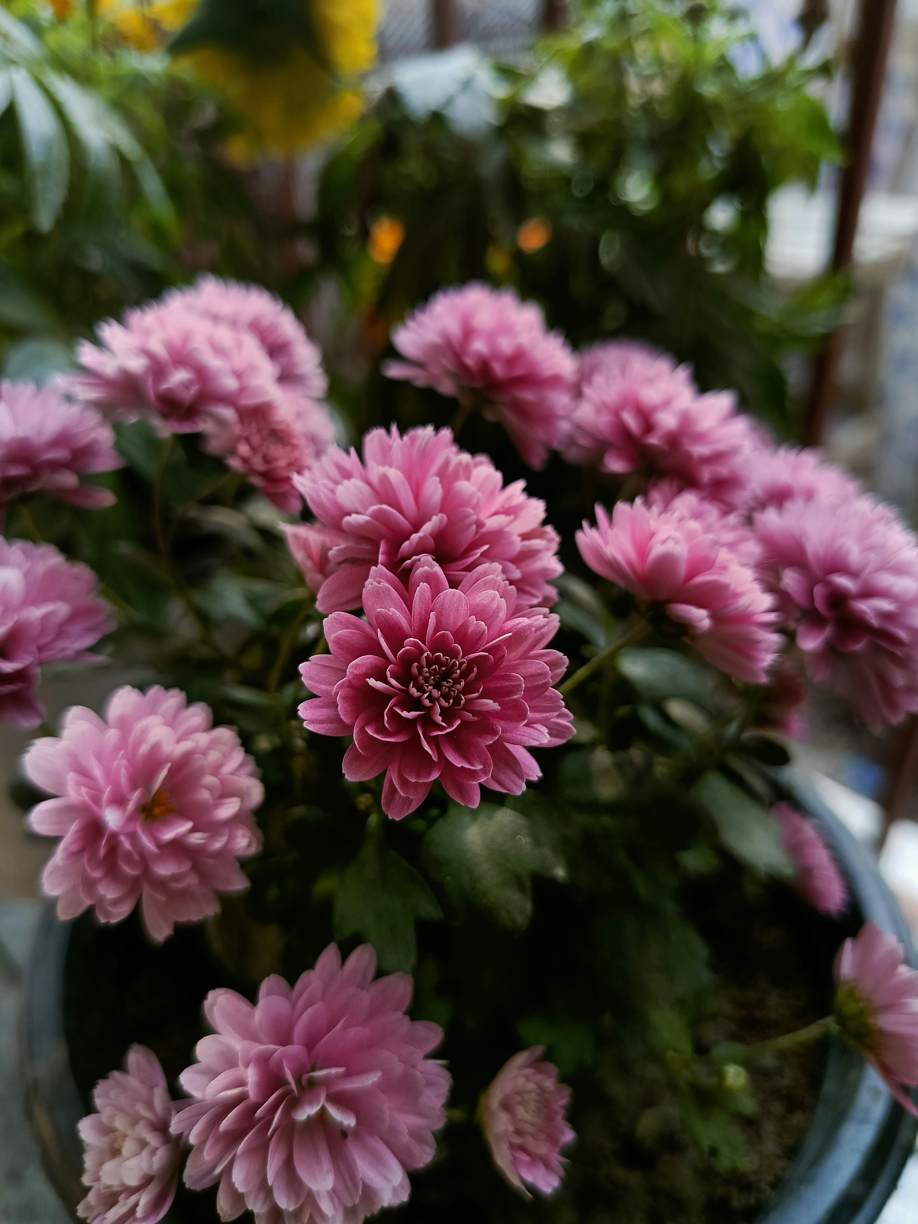 Photo by hk28_