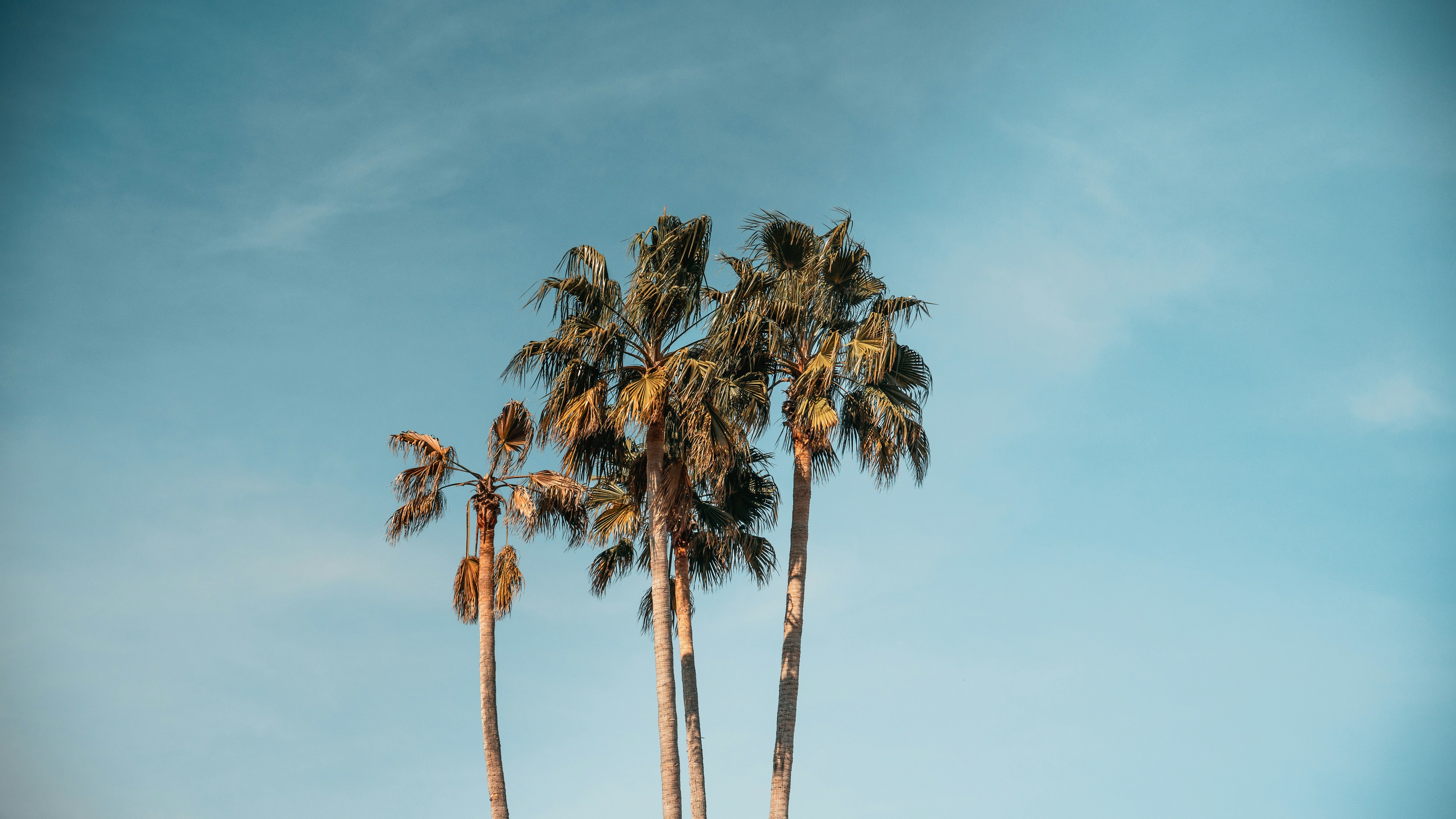 Photo by willgonzalez9