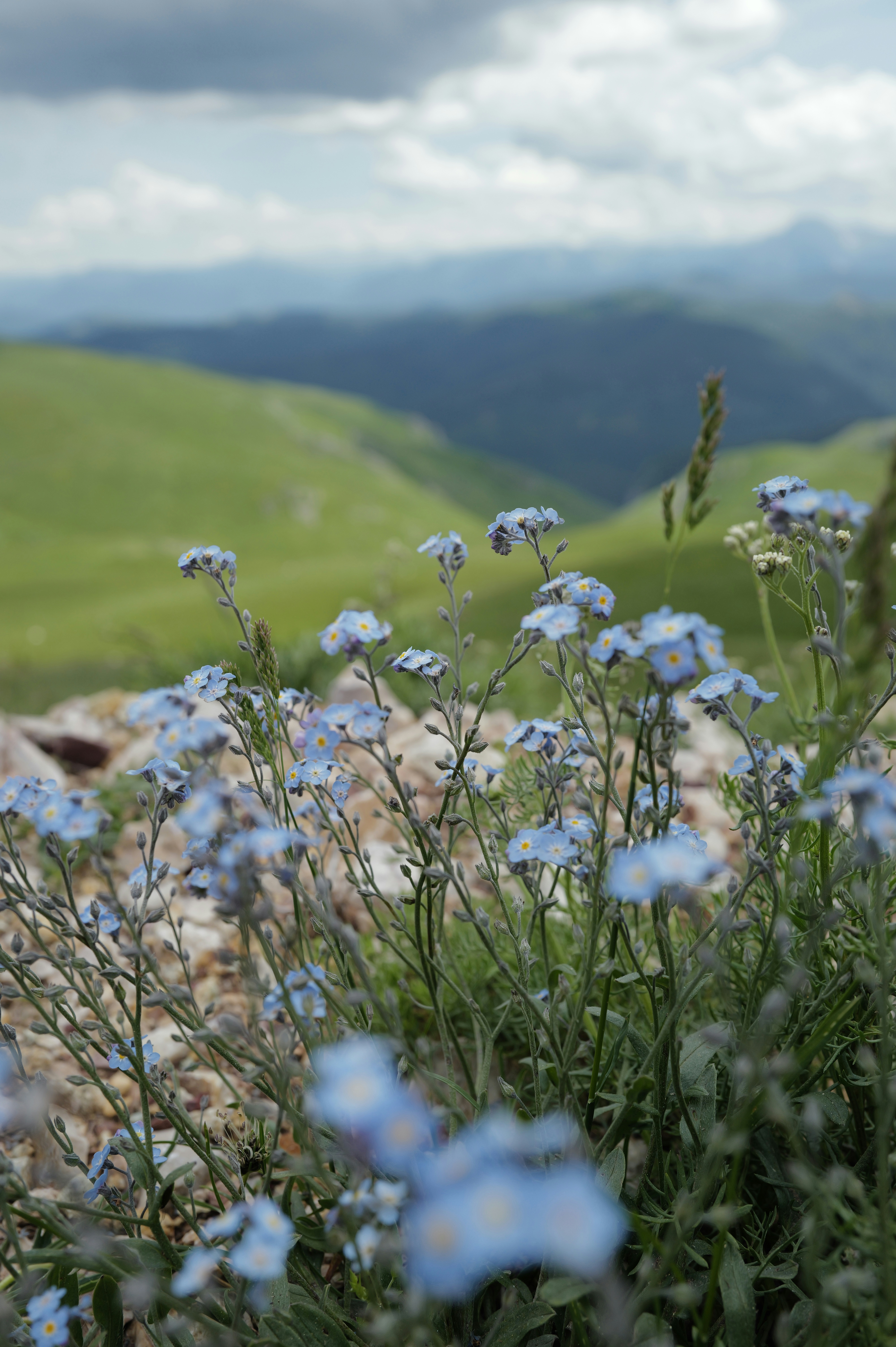Kolasin – Natural Environment & Landscapes