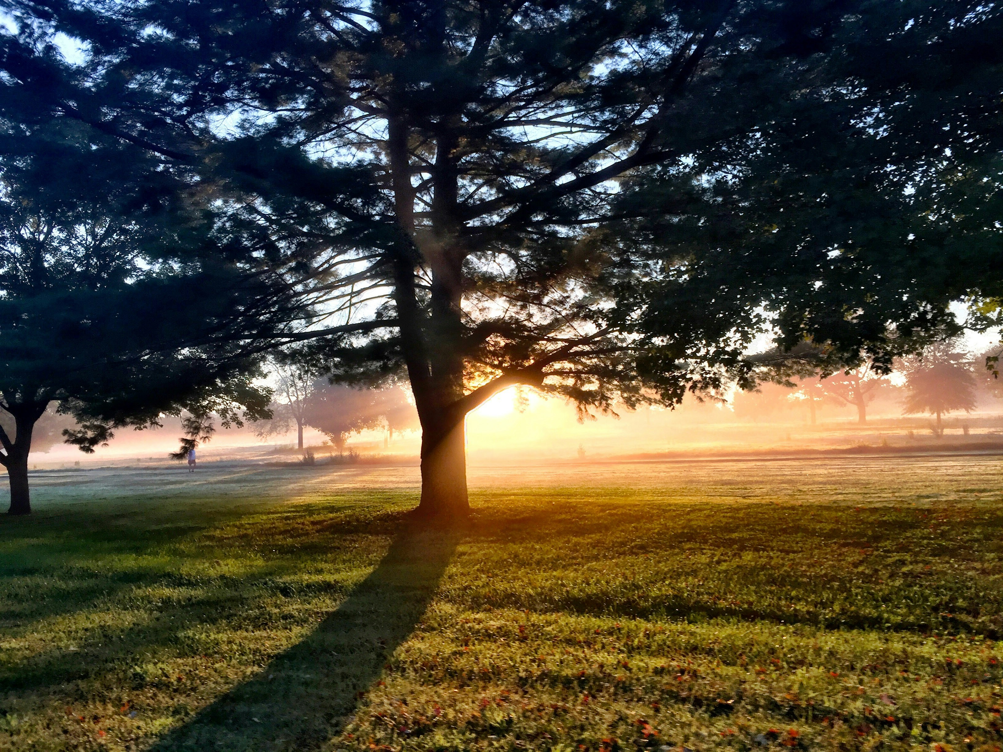 Photo by bradharris22