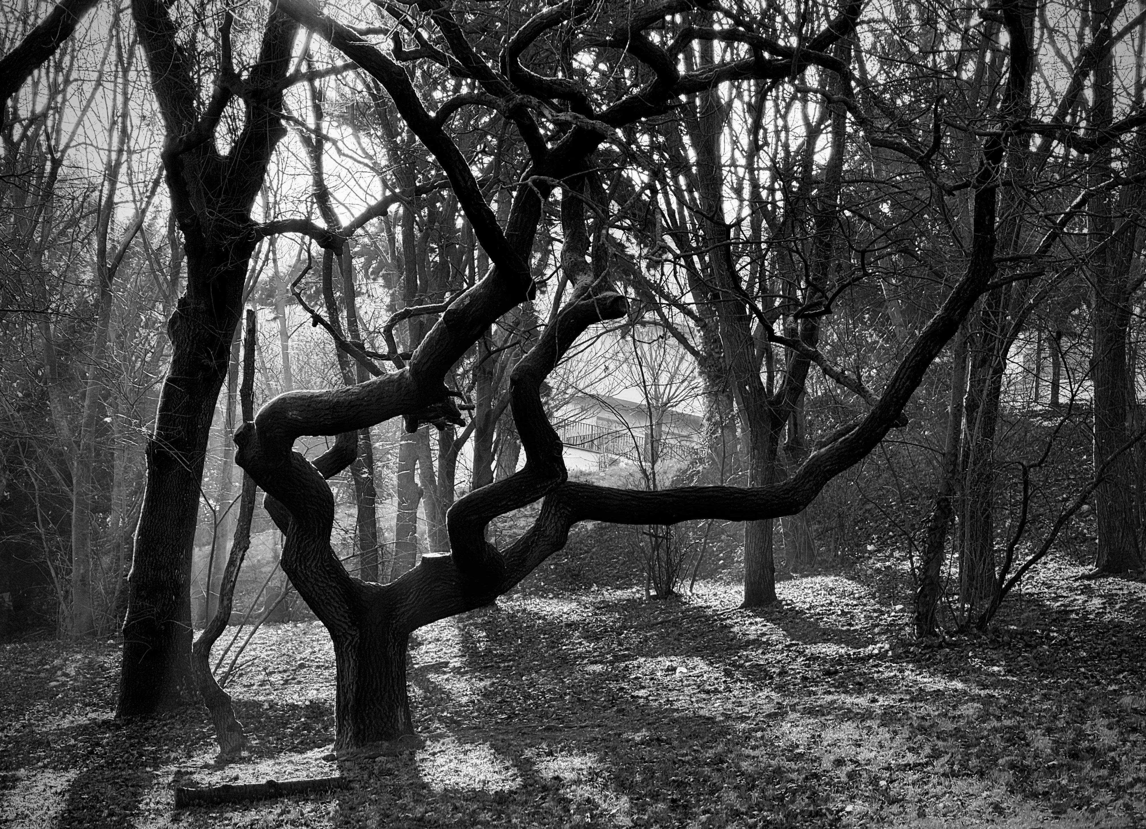 Photo by mihaly_koles