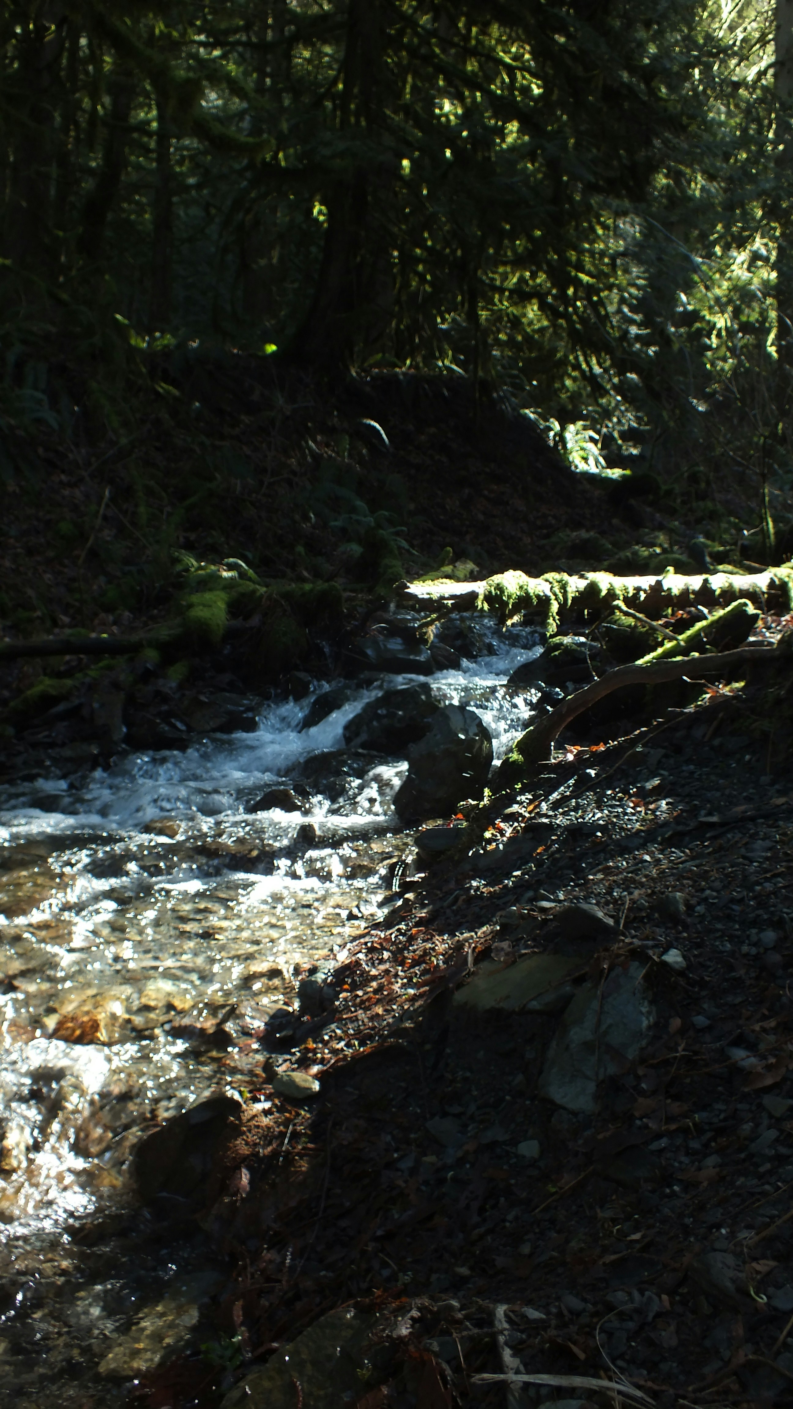 Photo by dylanrichard