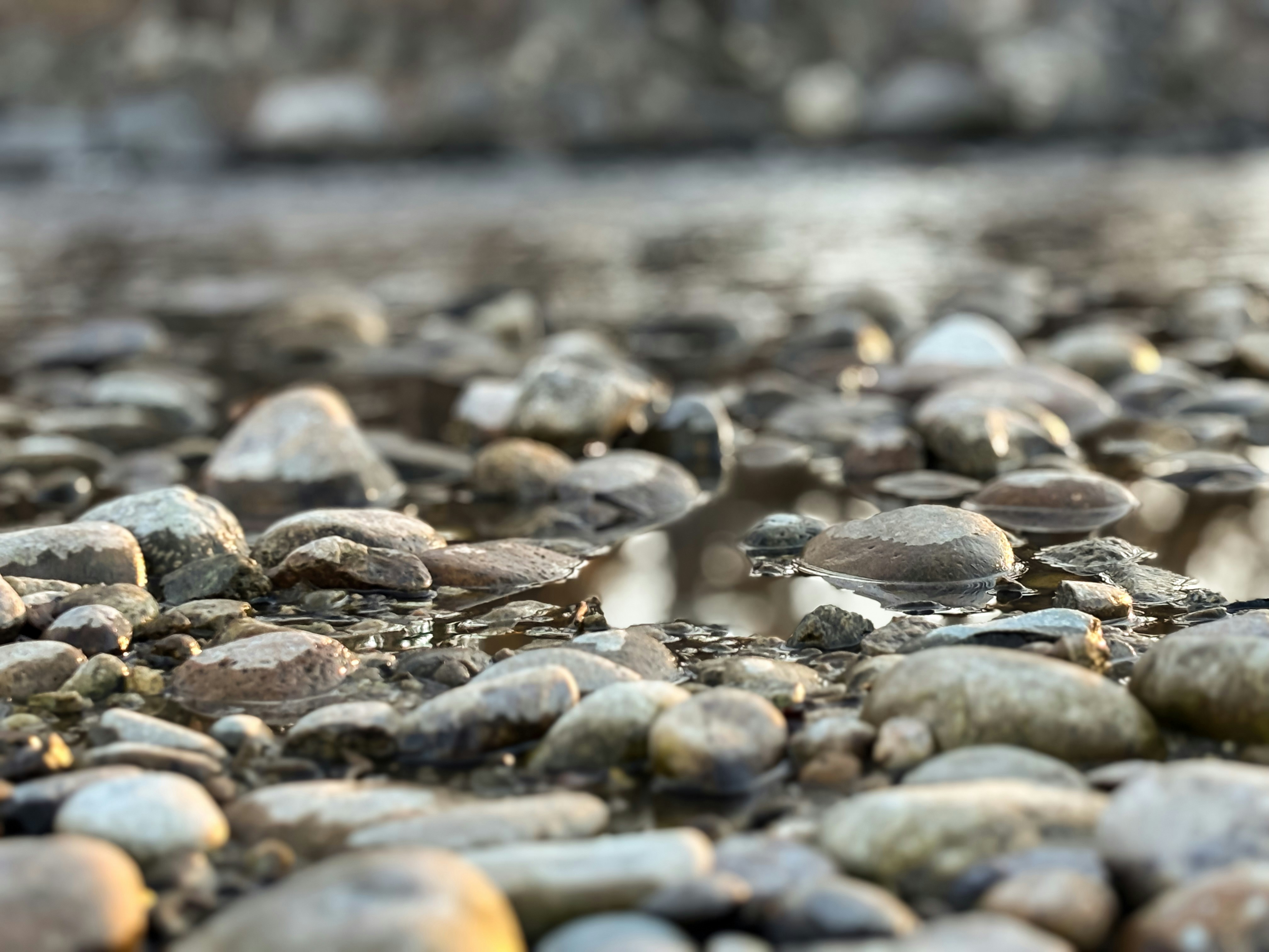 Photo by idahonaturalphotography