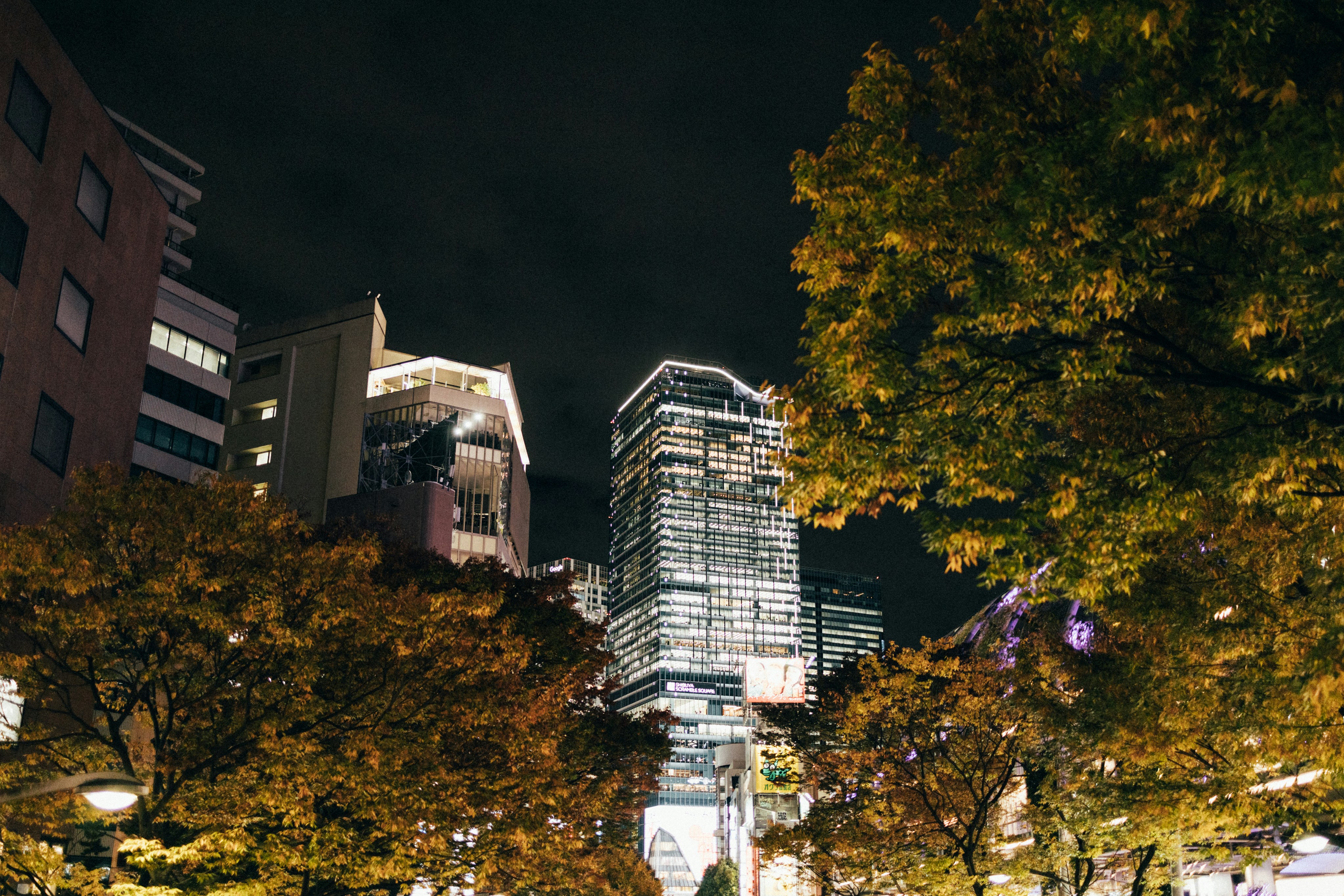 Photo by tsuyoshikozu