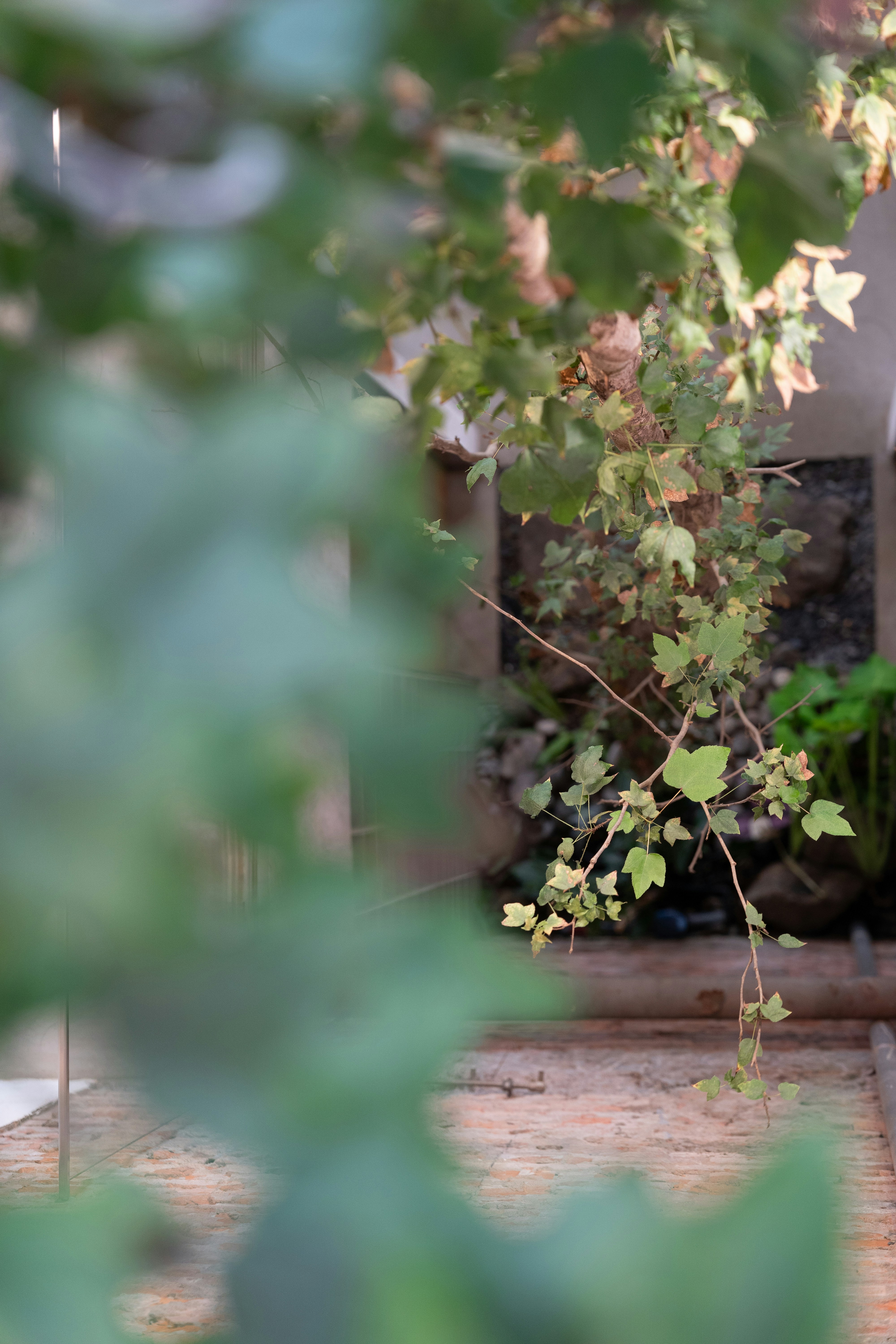 Photo by harrisonchang