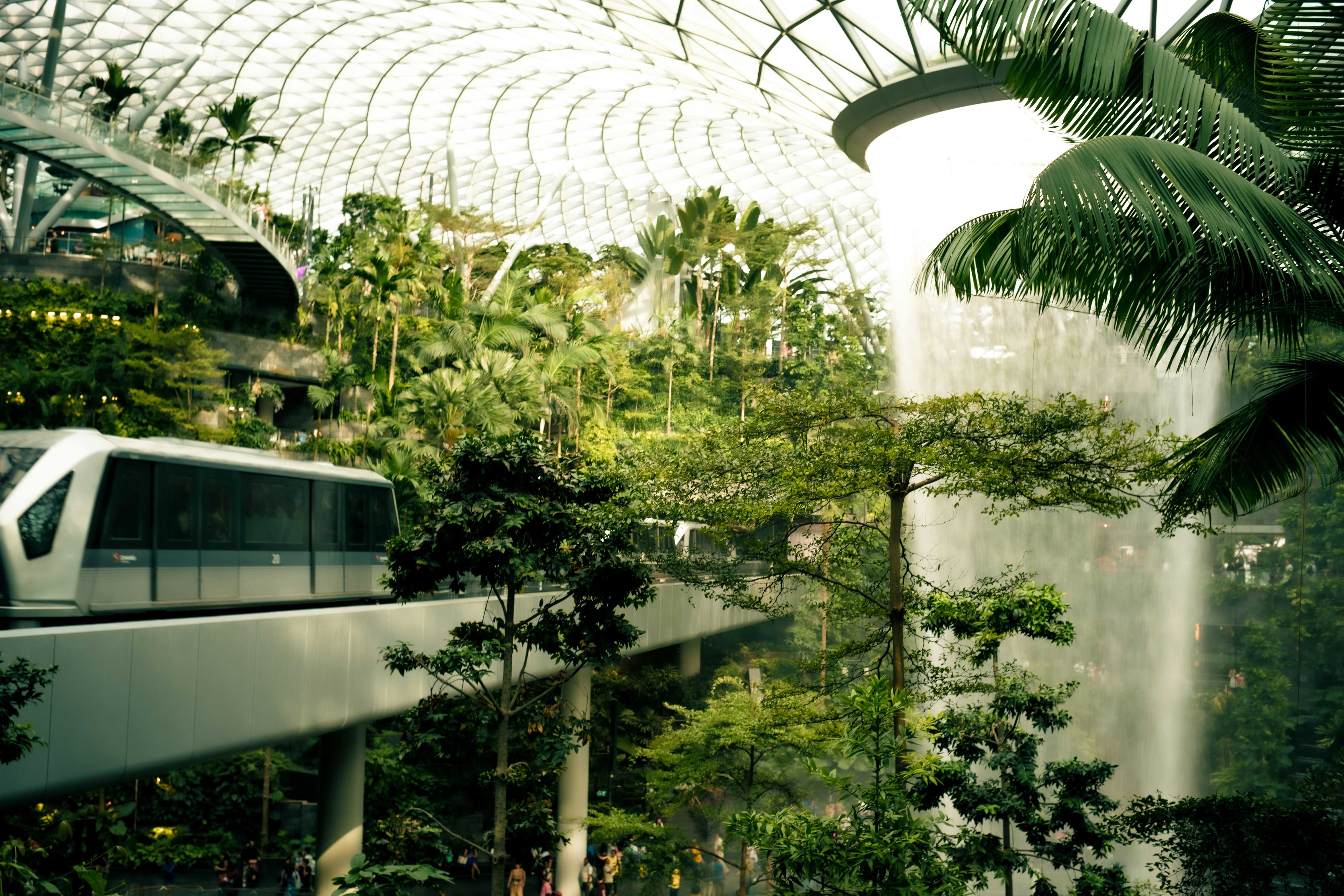 Photo by madeline_sd