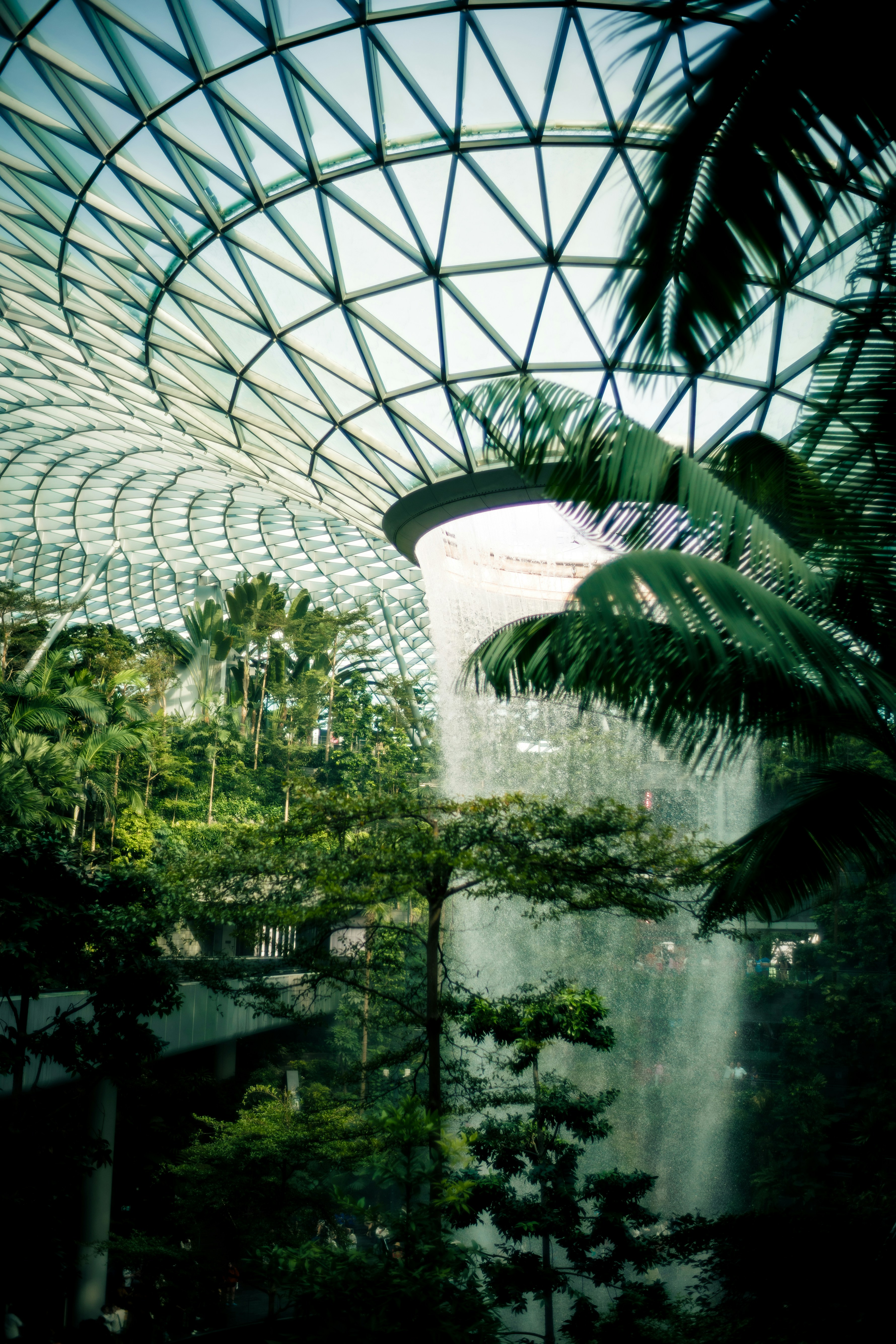 Photo by madeline_sd