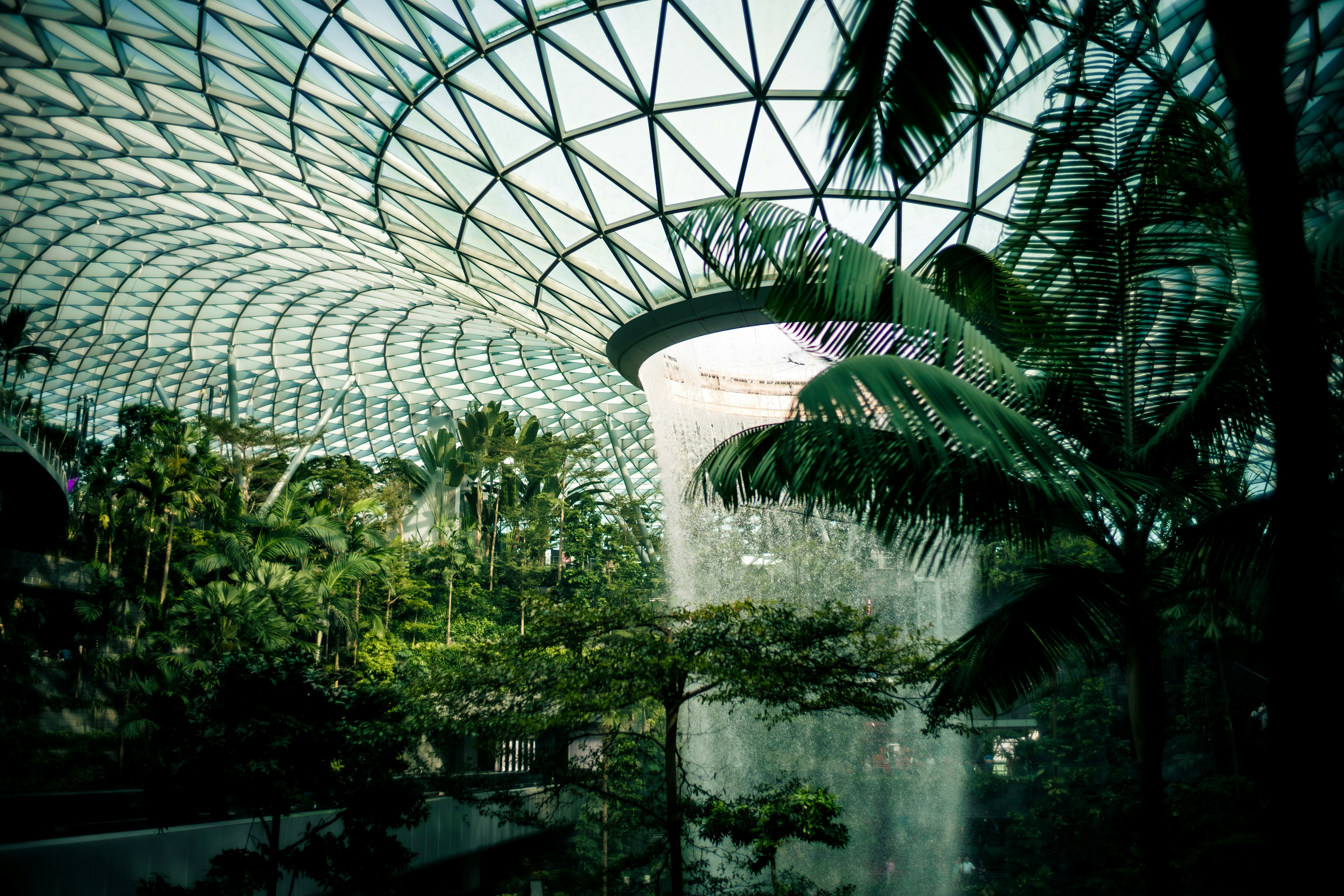 Photo by madeline_sd