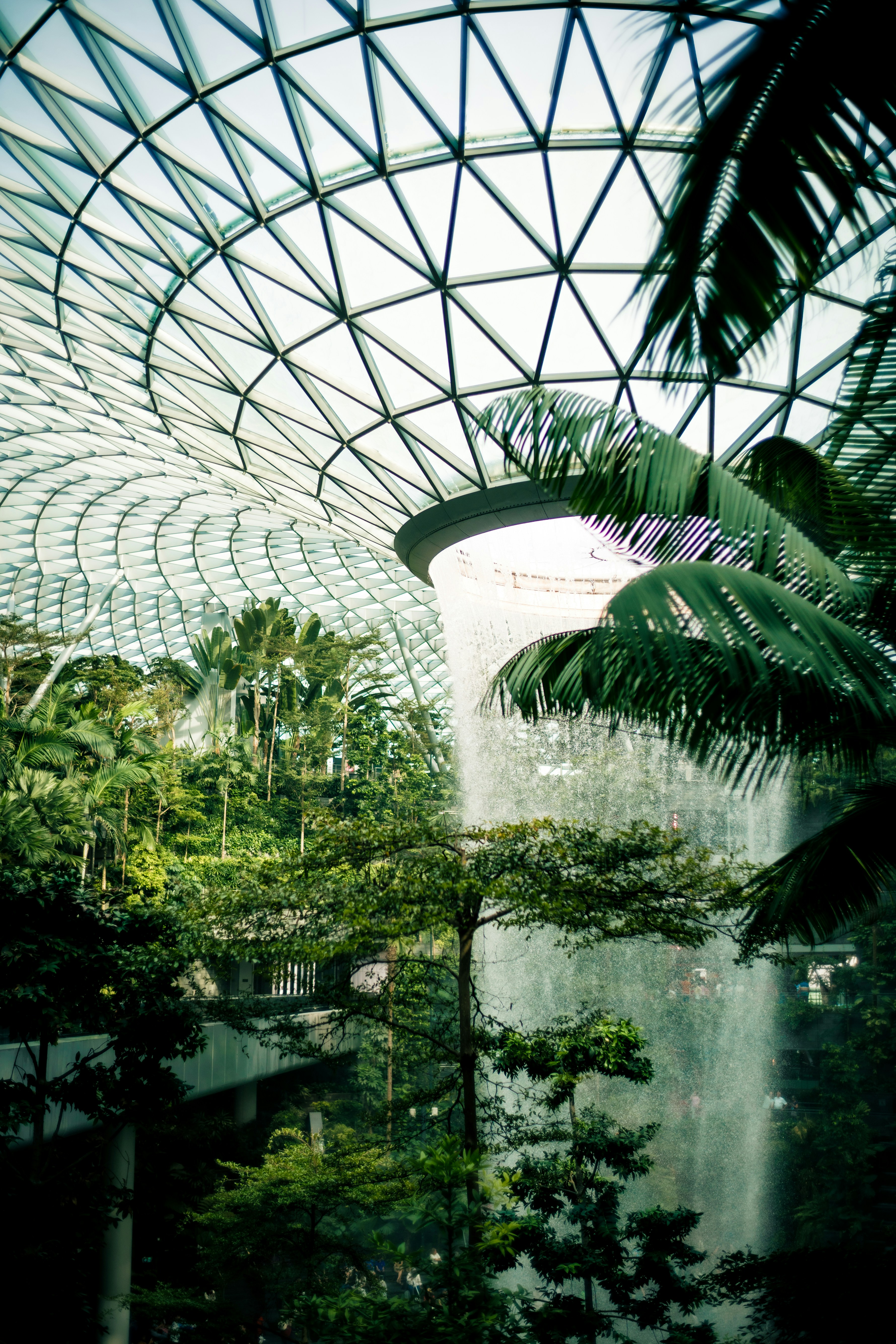 Photo by madeline_sd