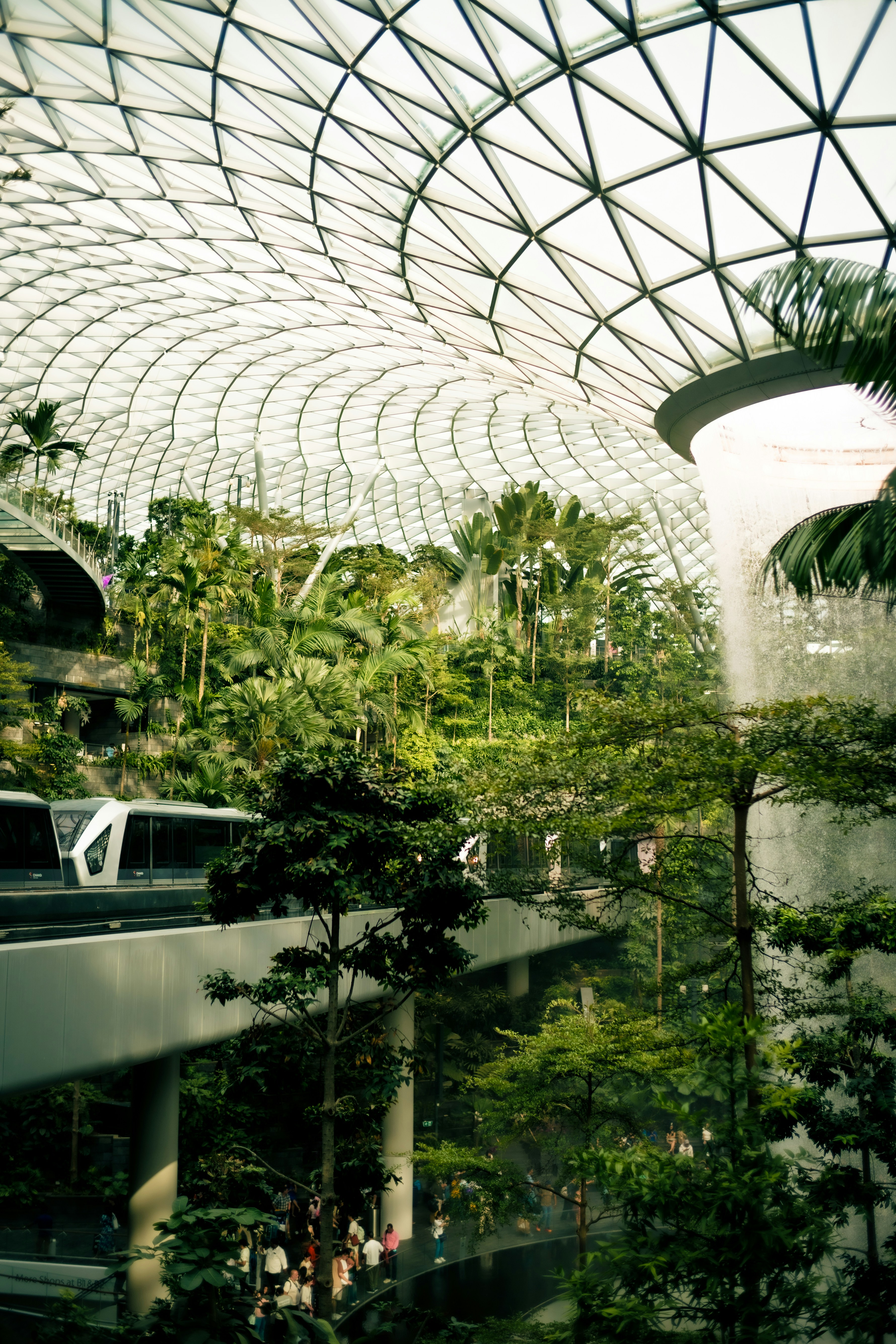 Photo by madeline_sd