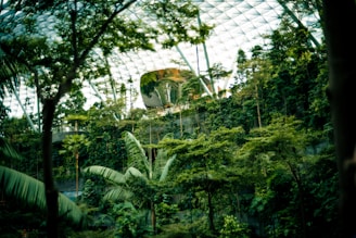 A futuristic building is surrounded by a jungle.