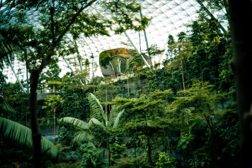 A futuristic building is surrounded by a jungle.