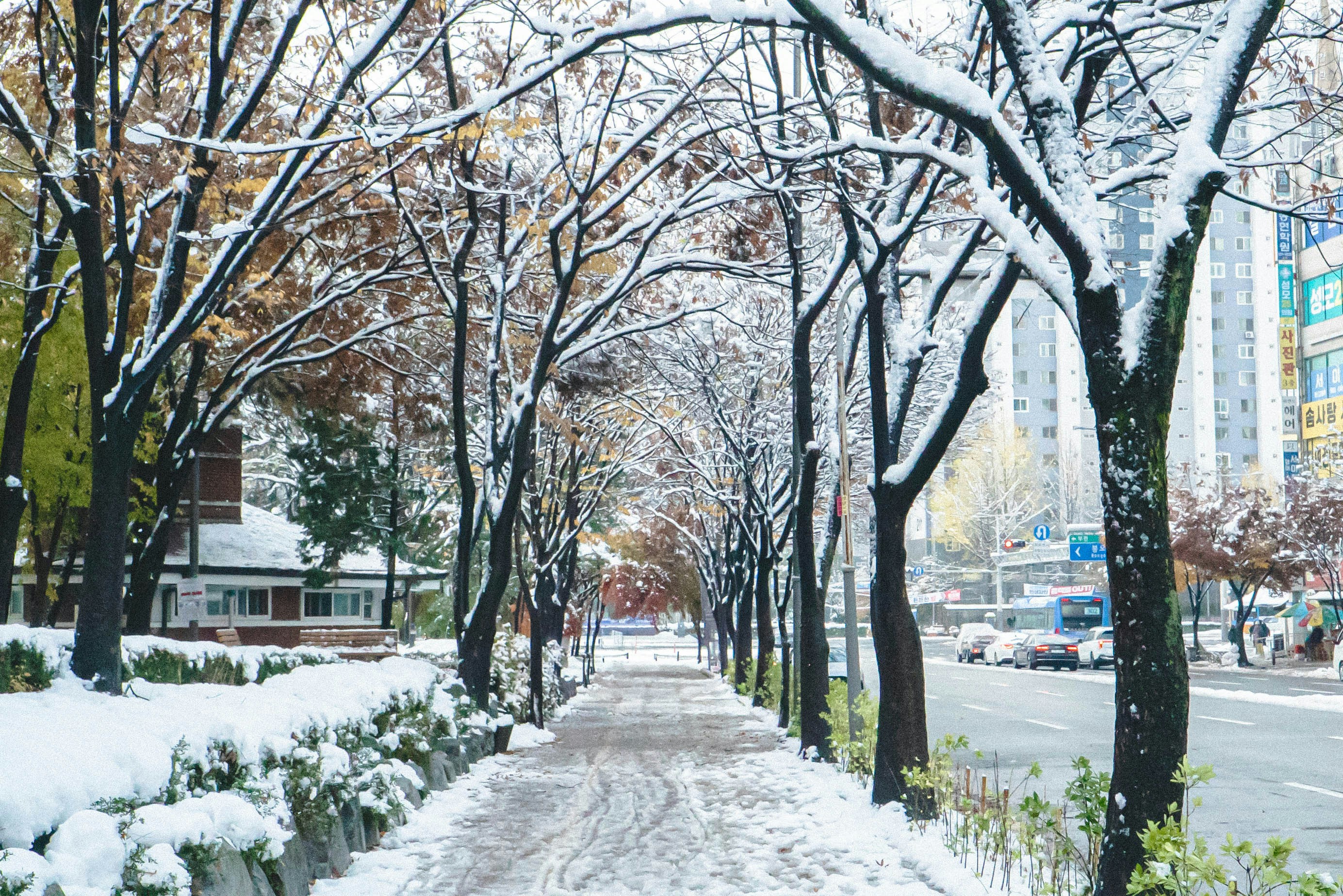 Photo by rays_pickpic