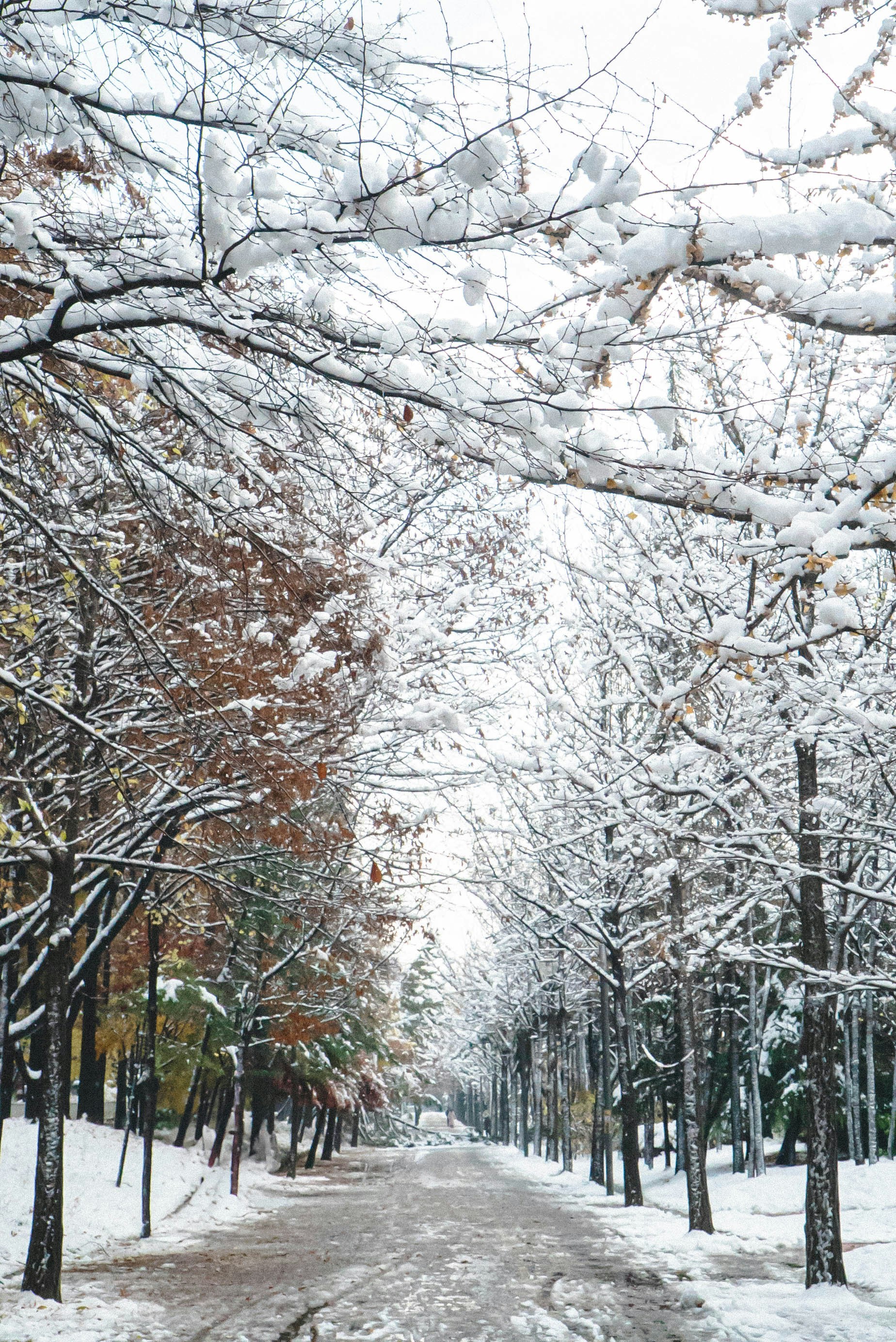 Photo by rays_pickpic