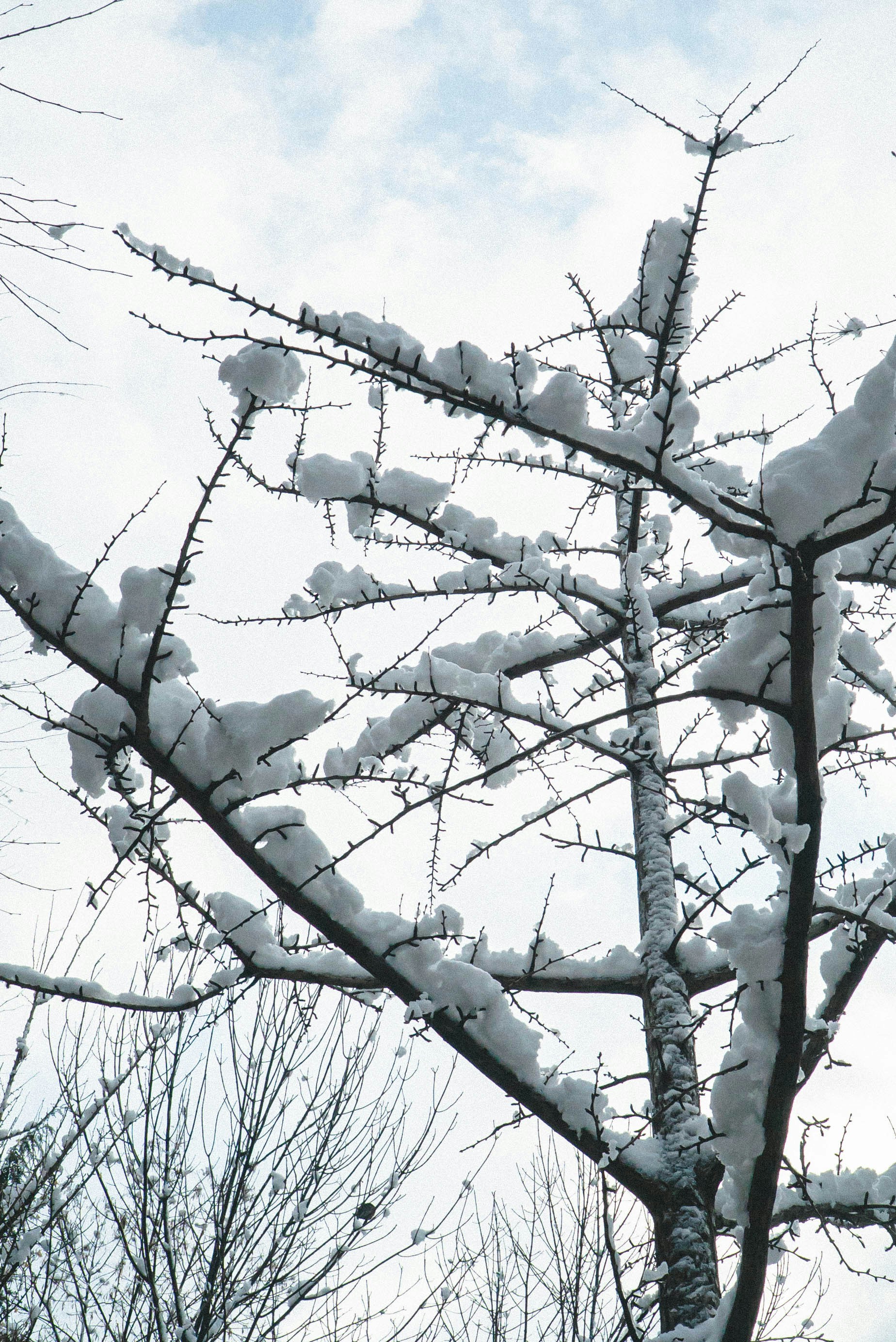 Photo by rays_pickpic