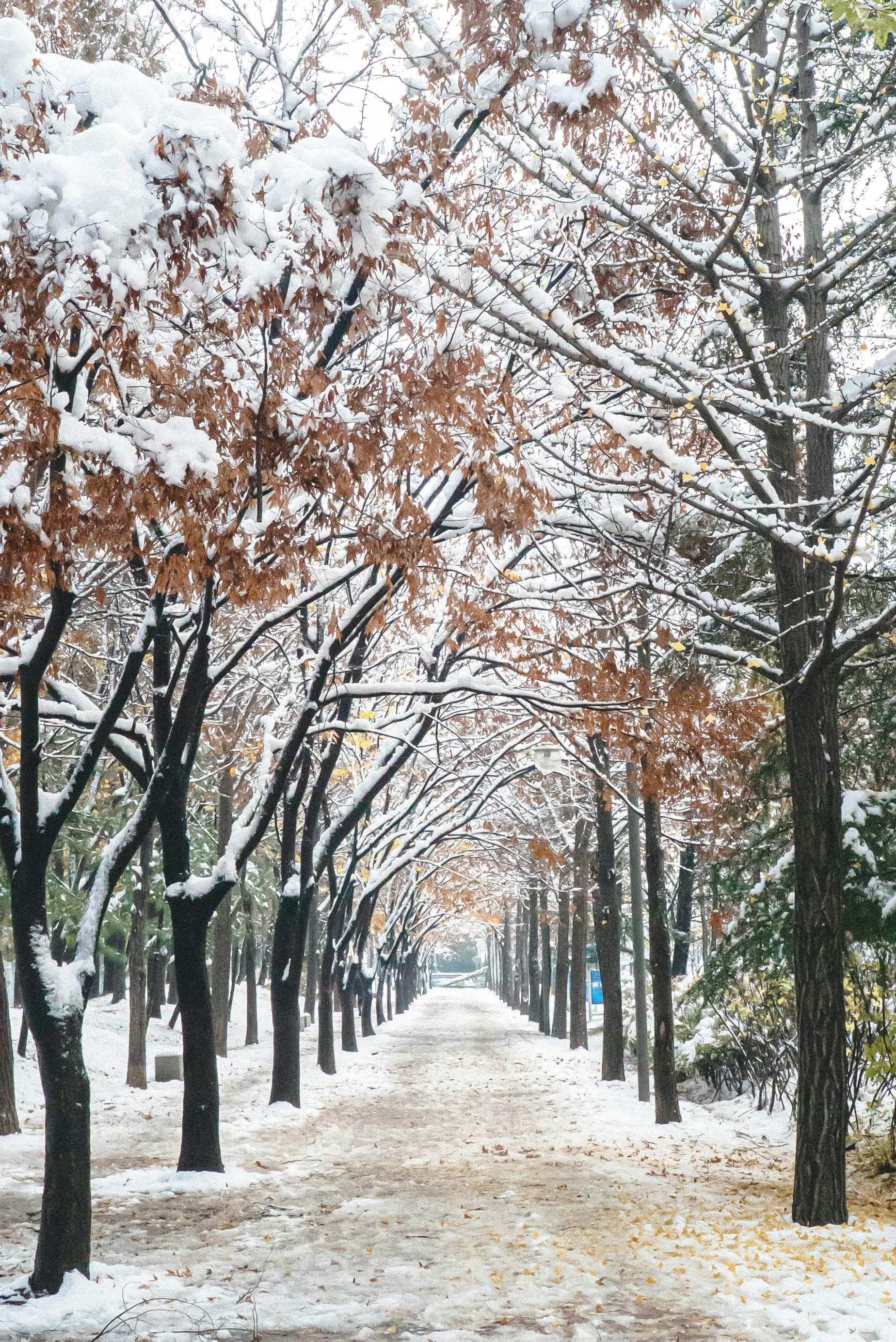 Photo by rays_pickpic