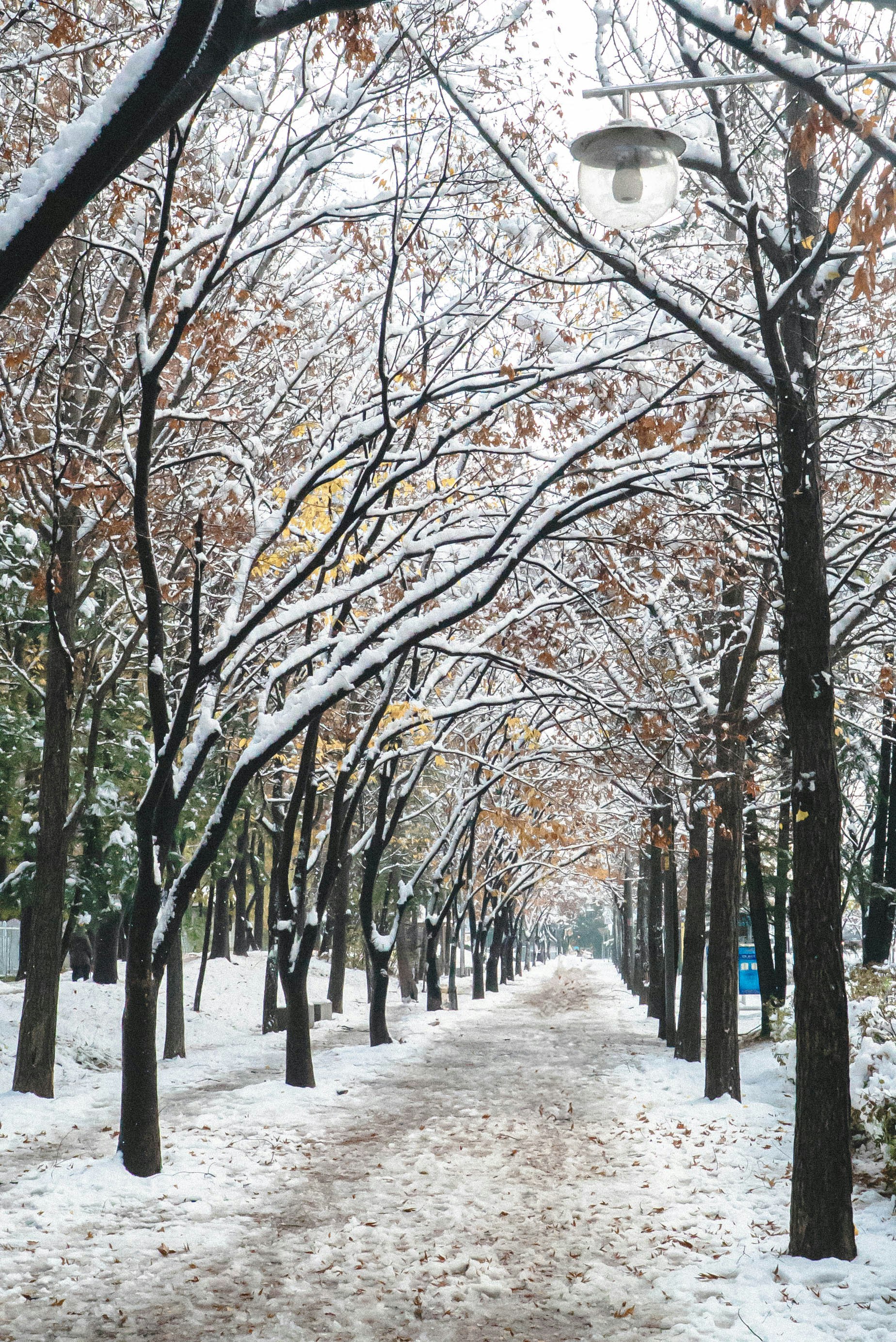 Photo by rays_pickpic