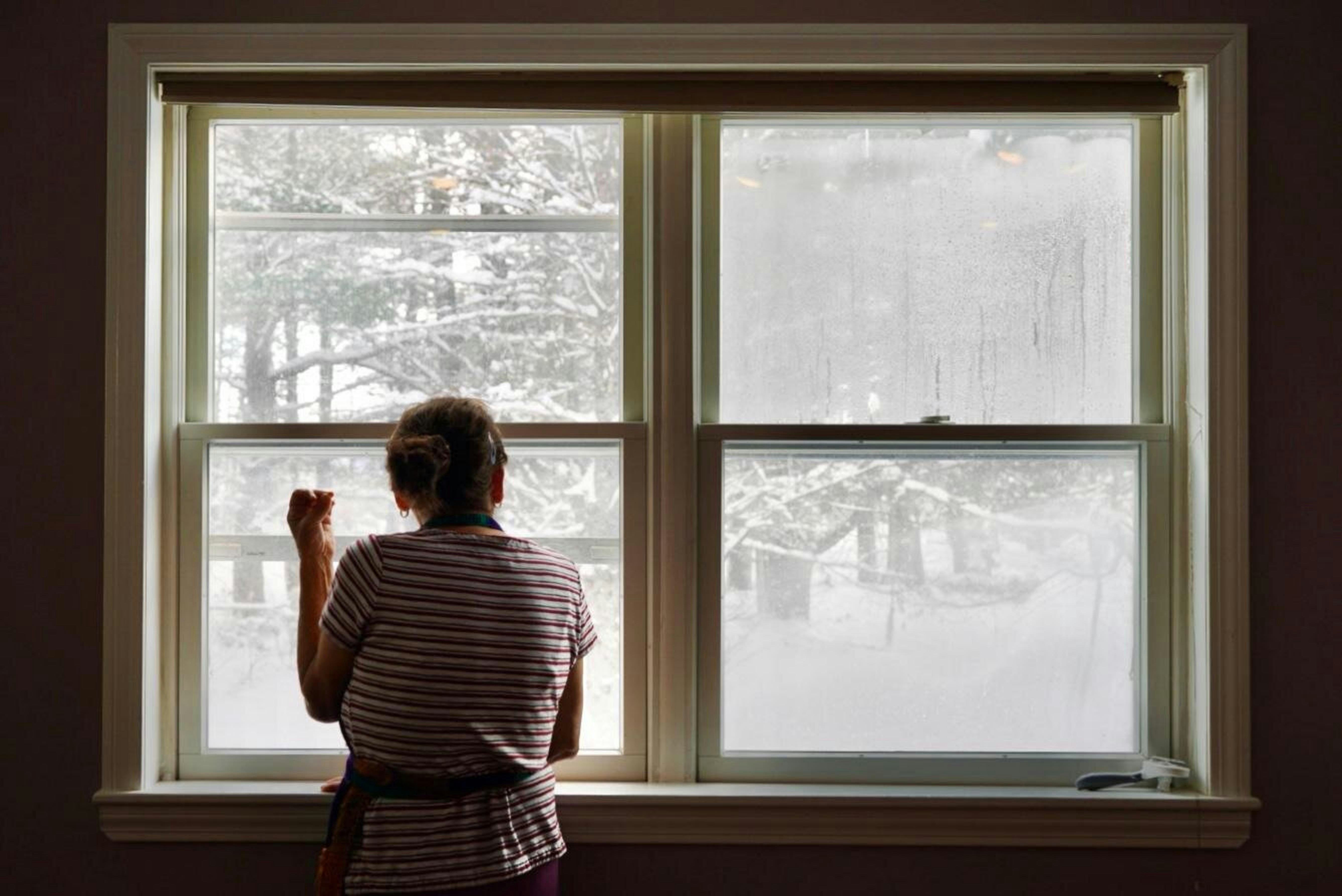 A person looks out a window at the wintery scene.