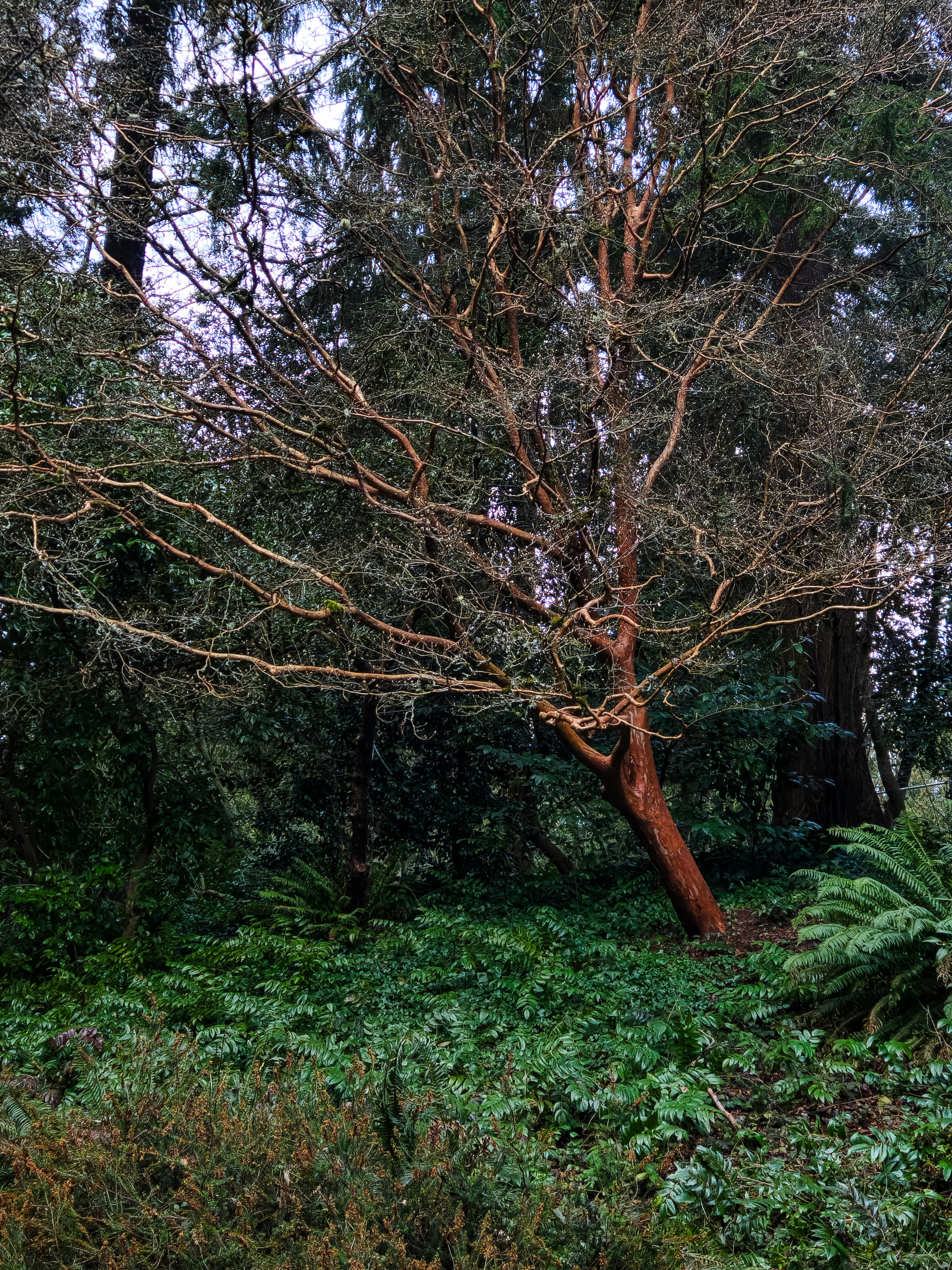 Photo by zoshuacolah