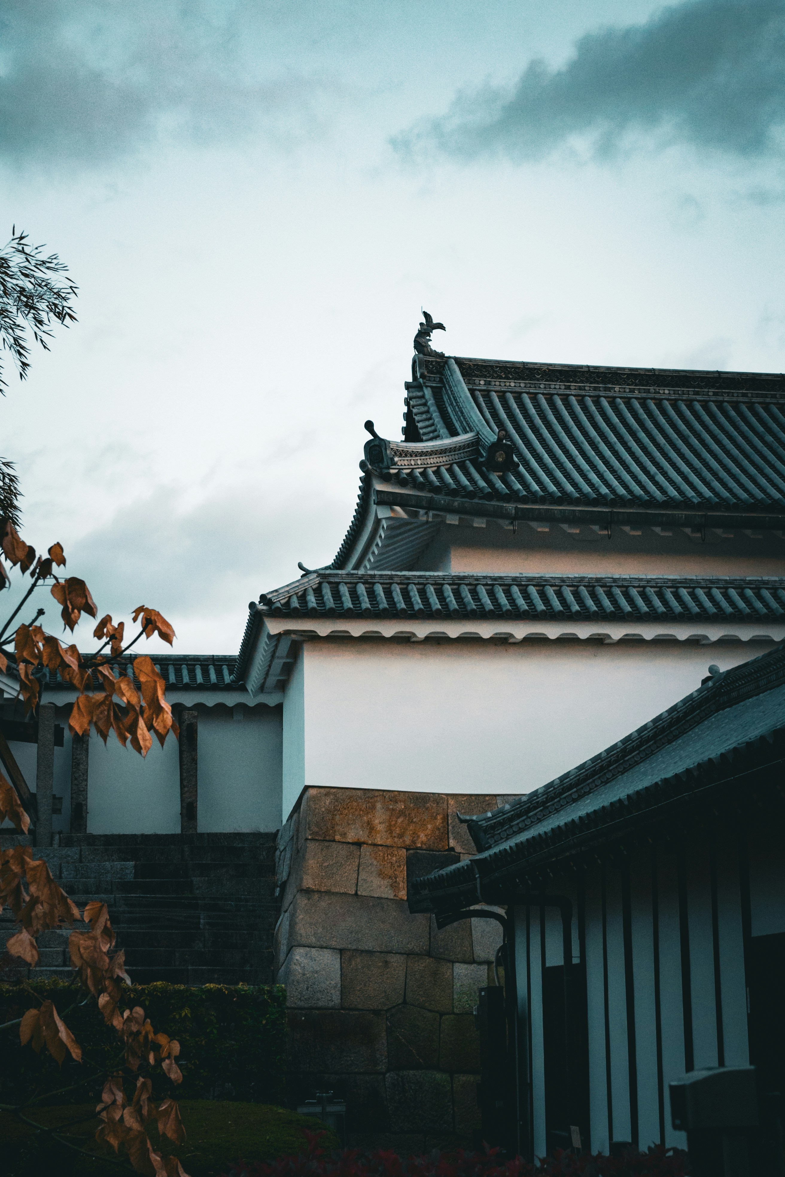 Photo by bgphotography