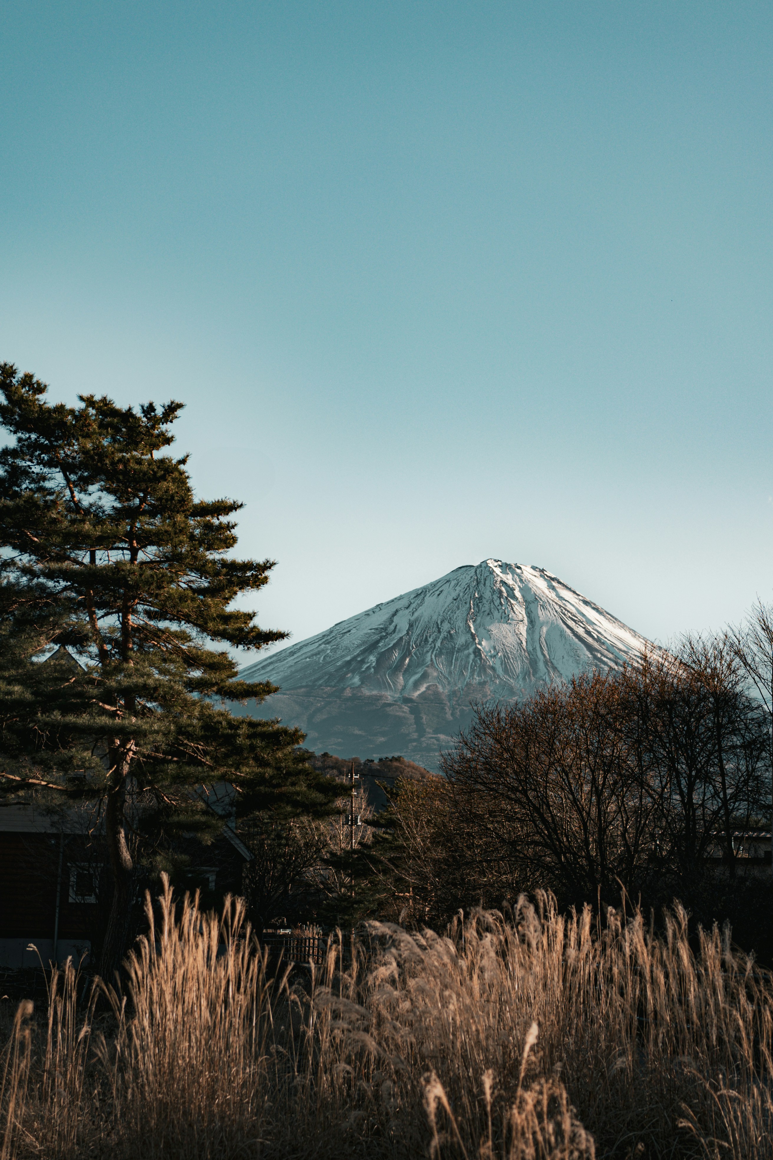 Photo by bgphotography