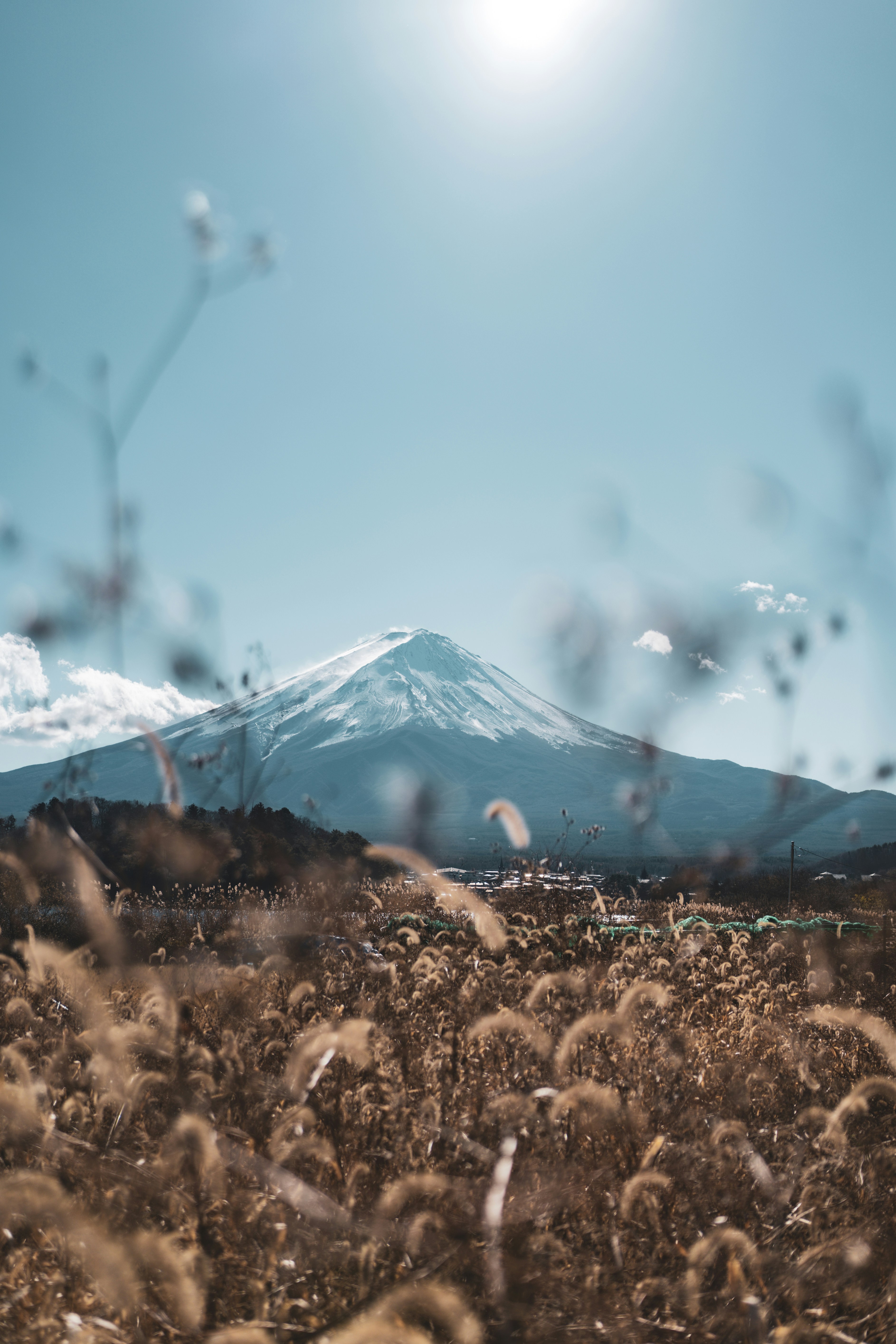 Photo by bgphotography