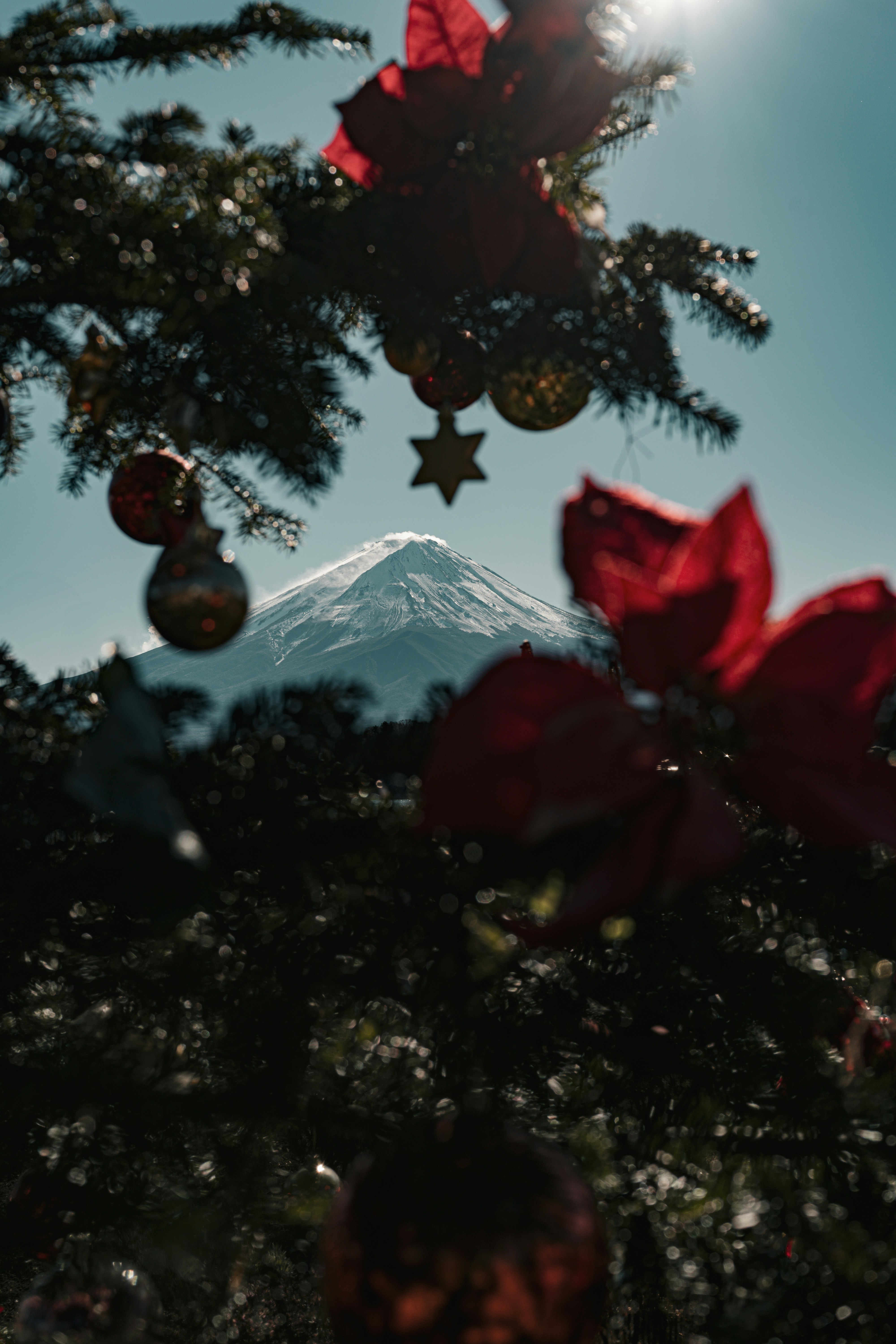 Photo by bgphotography