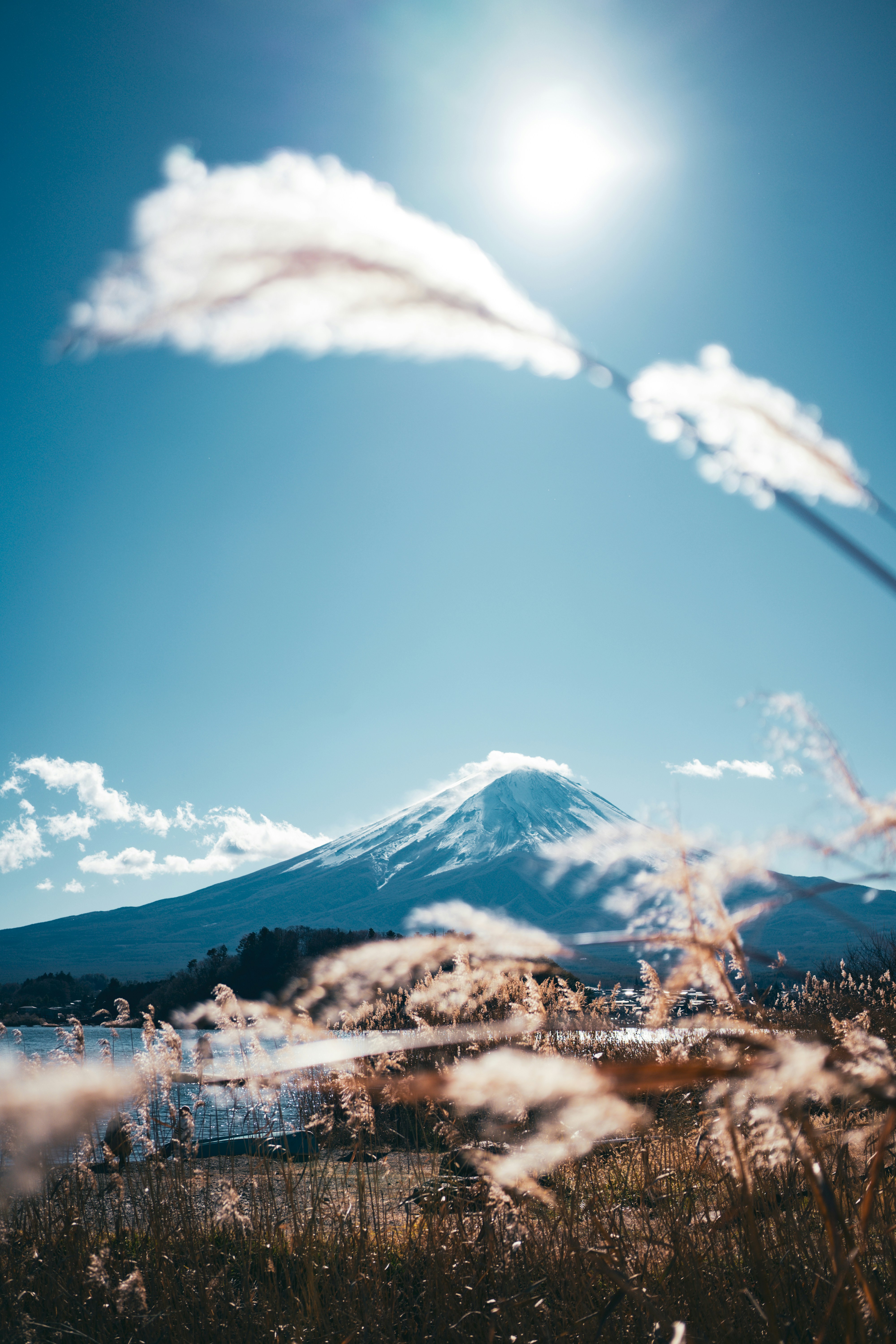 Photo by bgphotography