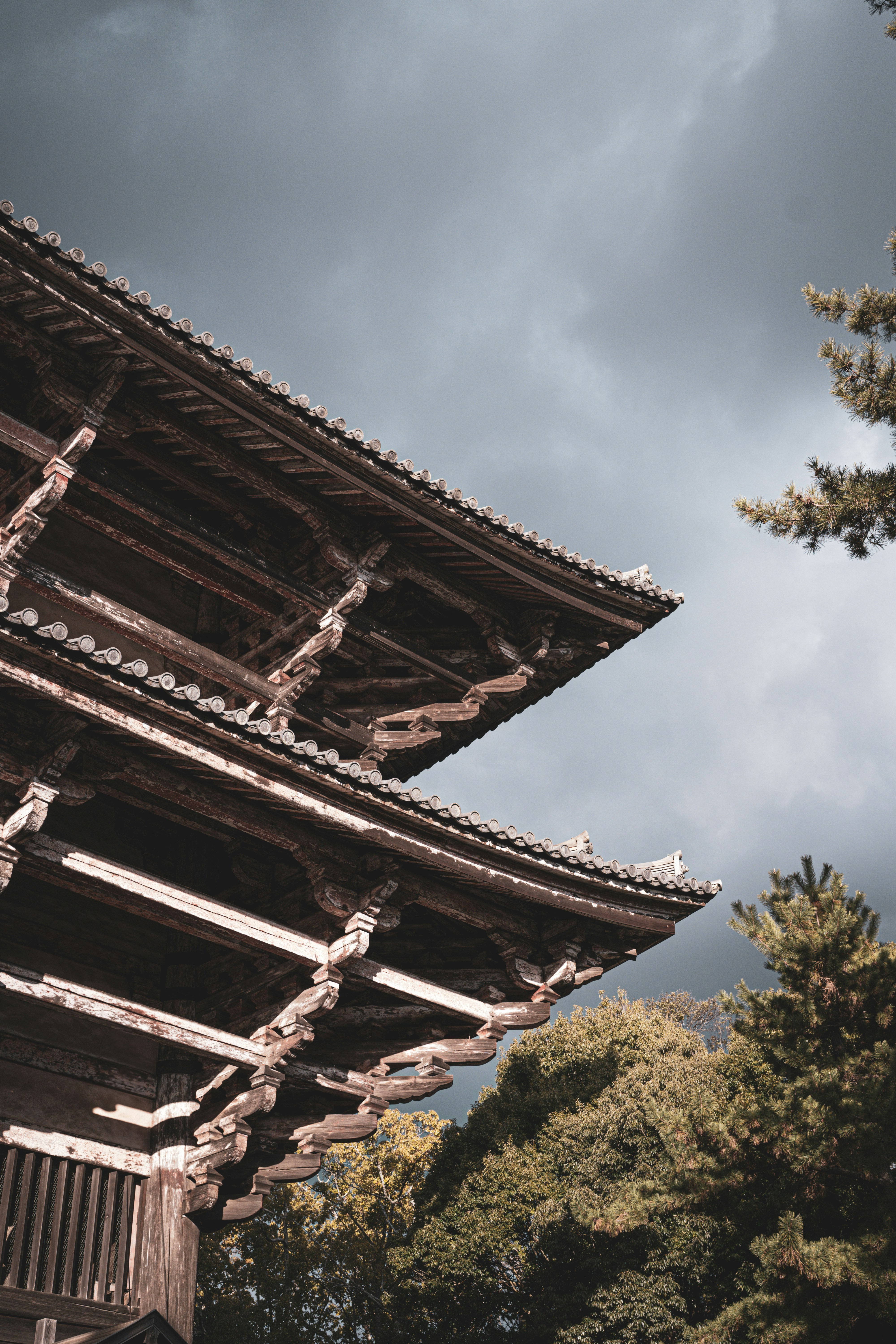 Photo by bgphotography