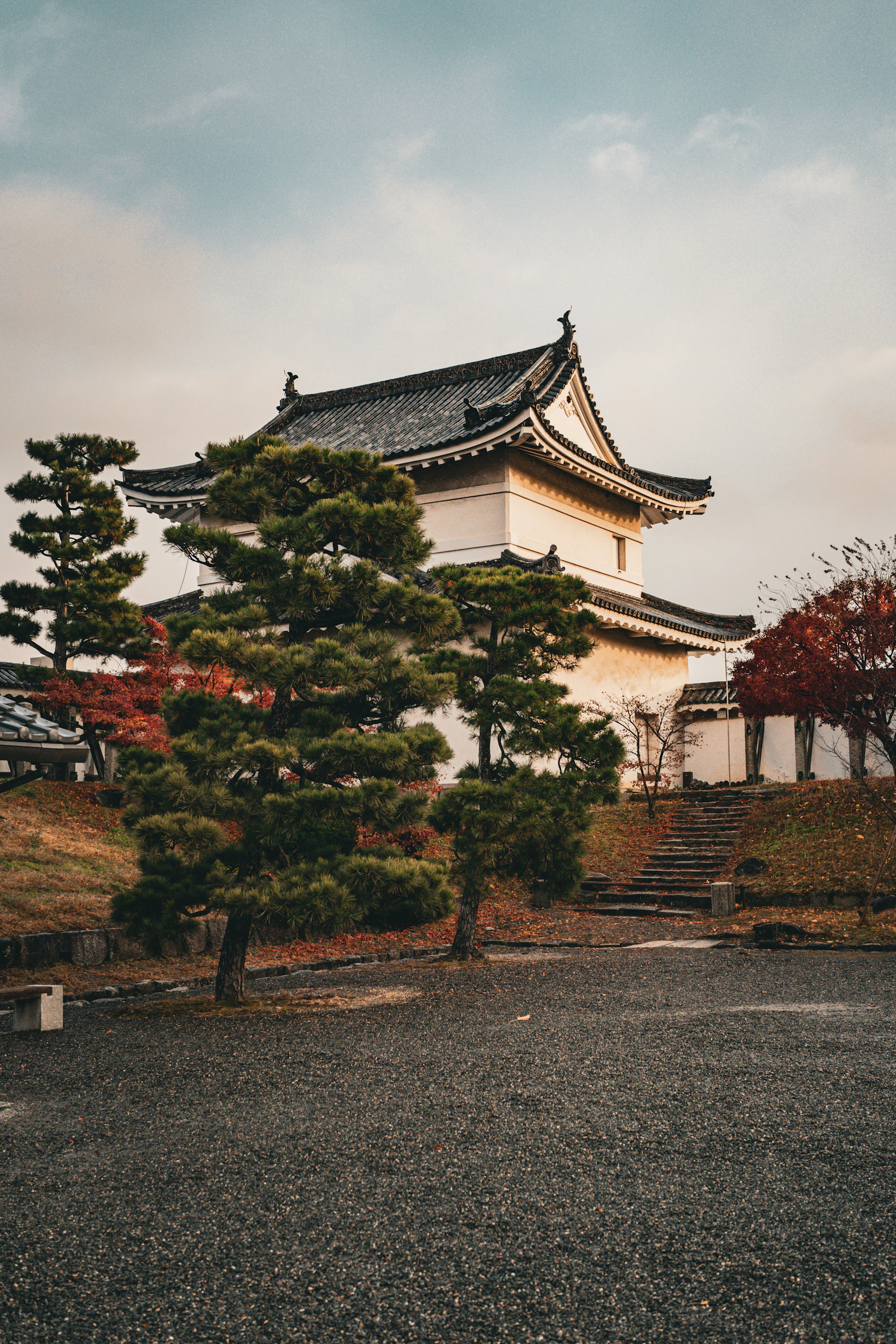Weißer Turm und herbstliche Bäume auf dem Gelände von Nijō-jō