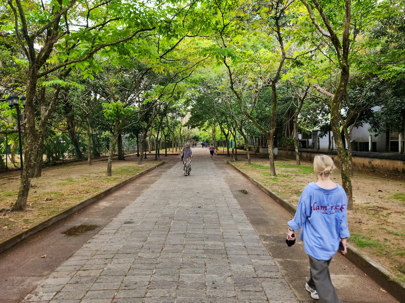 公園の歩道を歩く女性