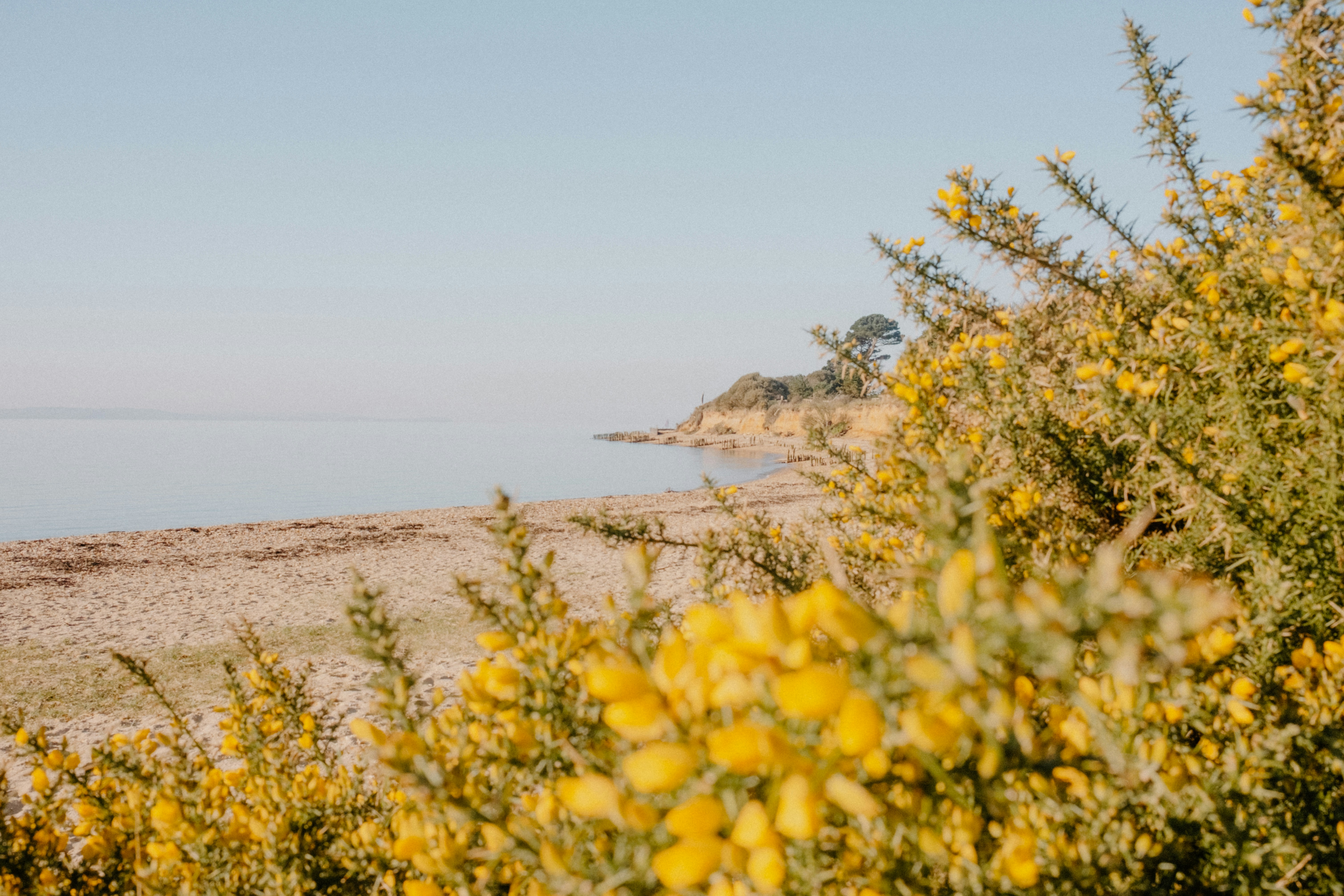 Photo by anniespratt