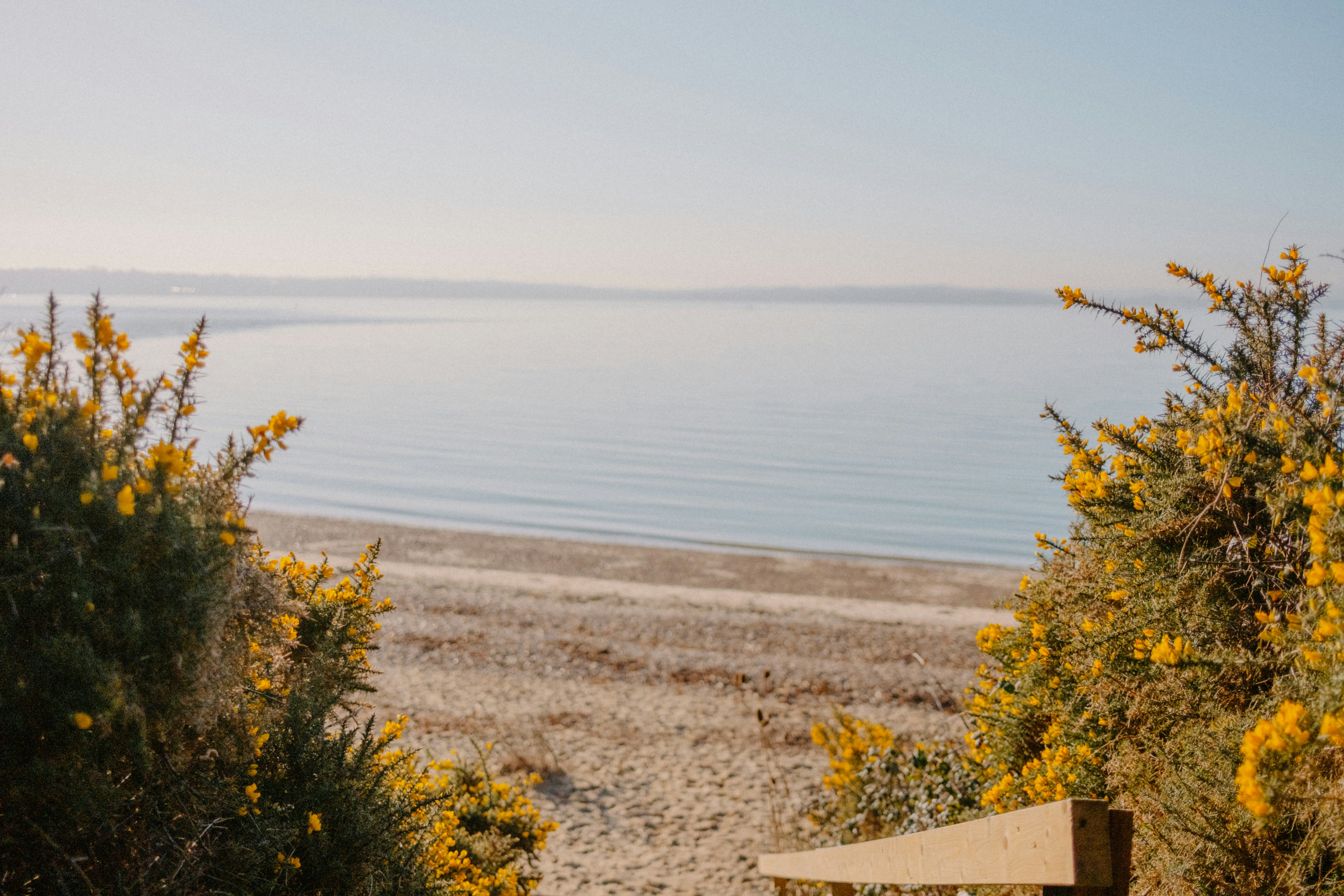 Photo by anniespratt