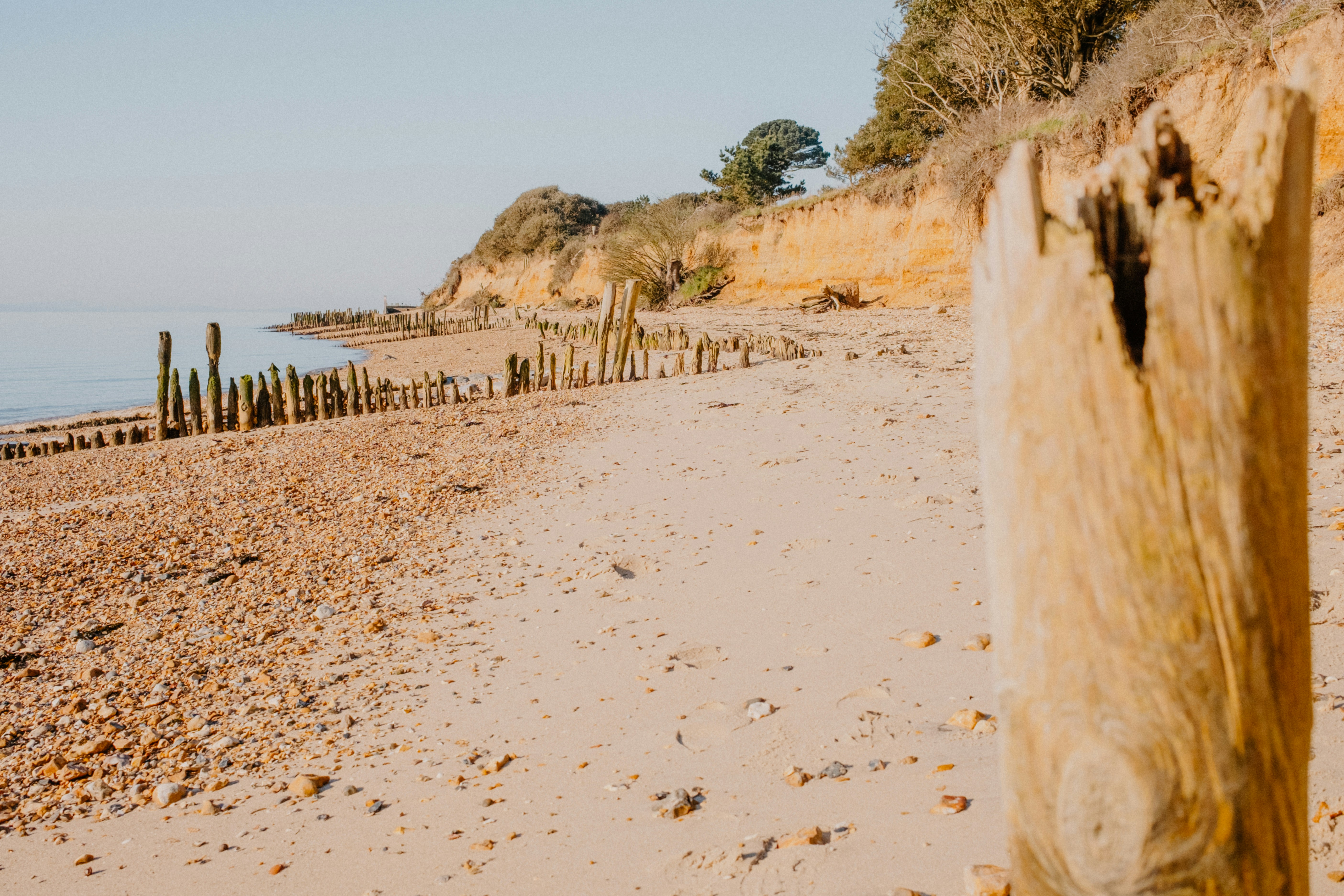 Photo by anniespratt