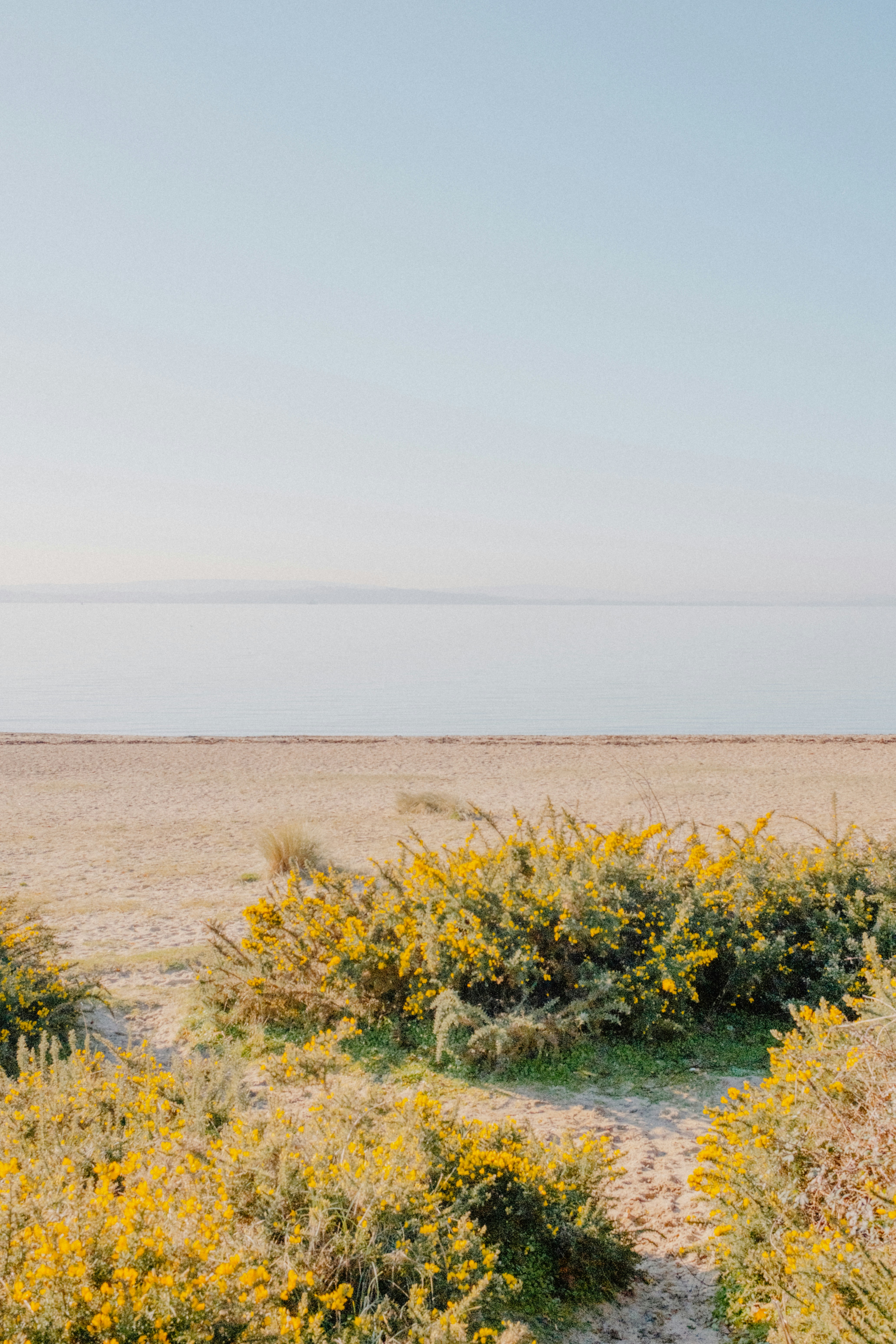 Photo by anniespratt