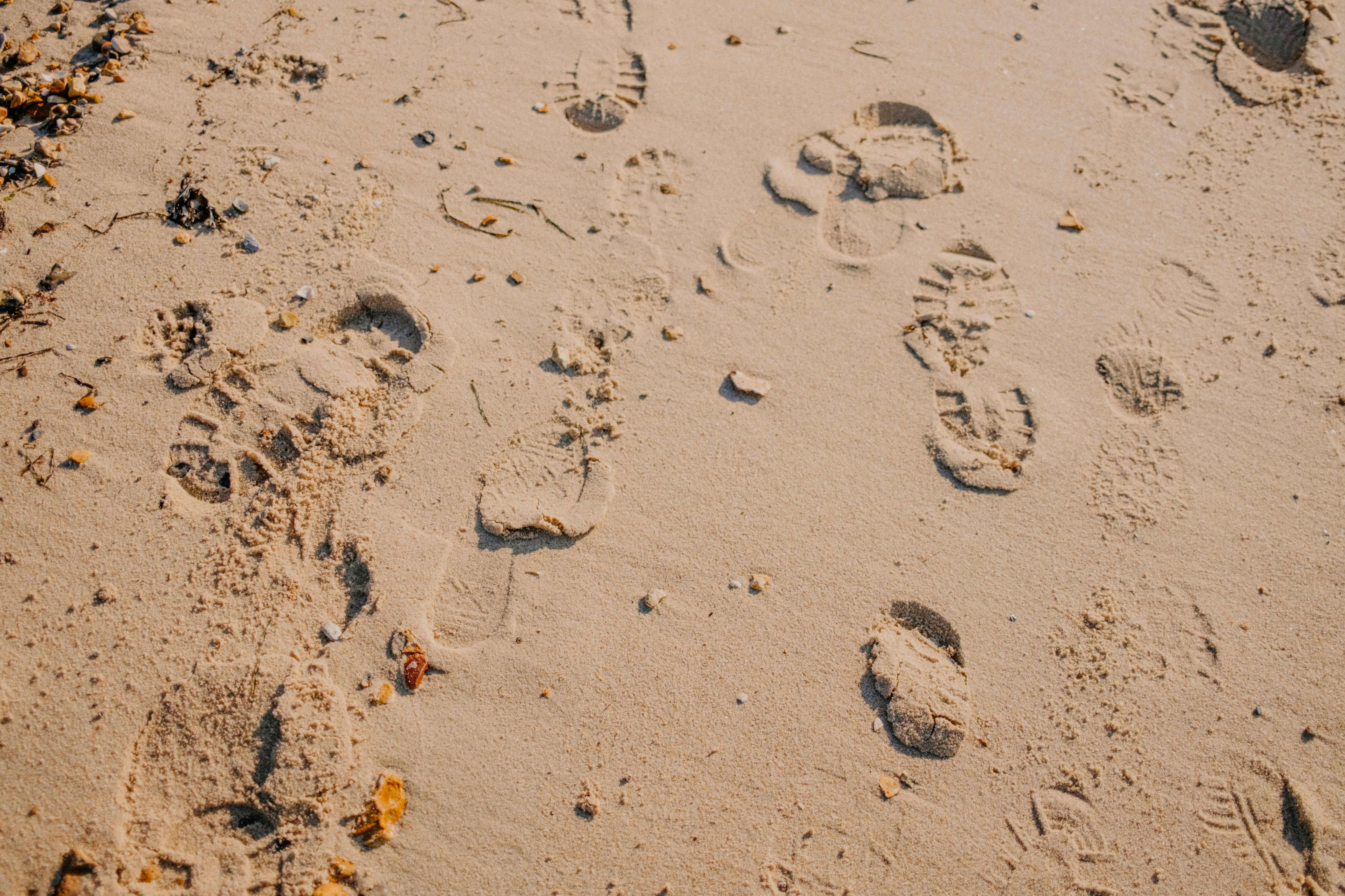 Photo by anniespratt