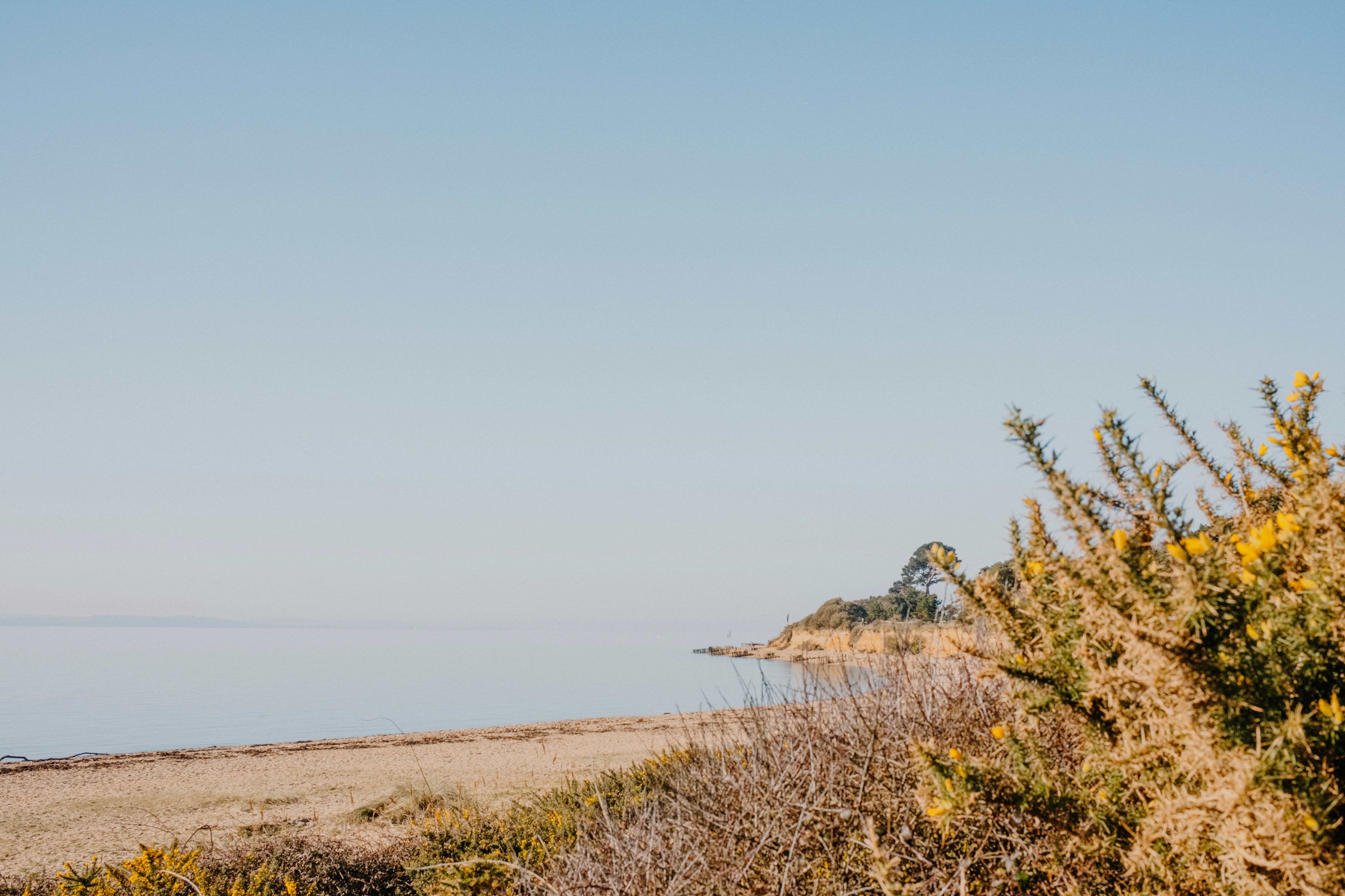 Photo by anniespratt