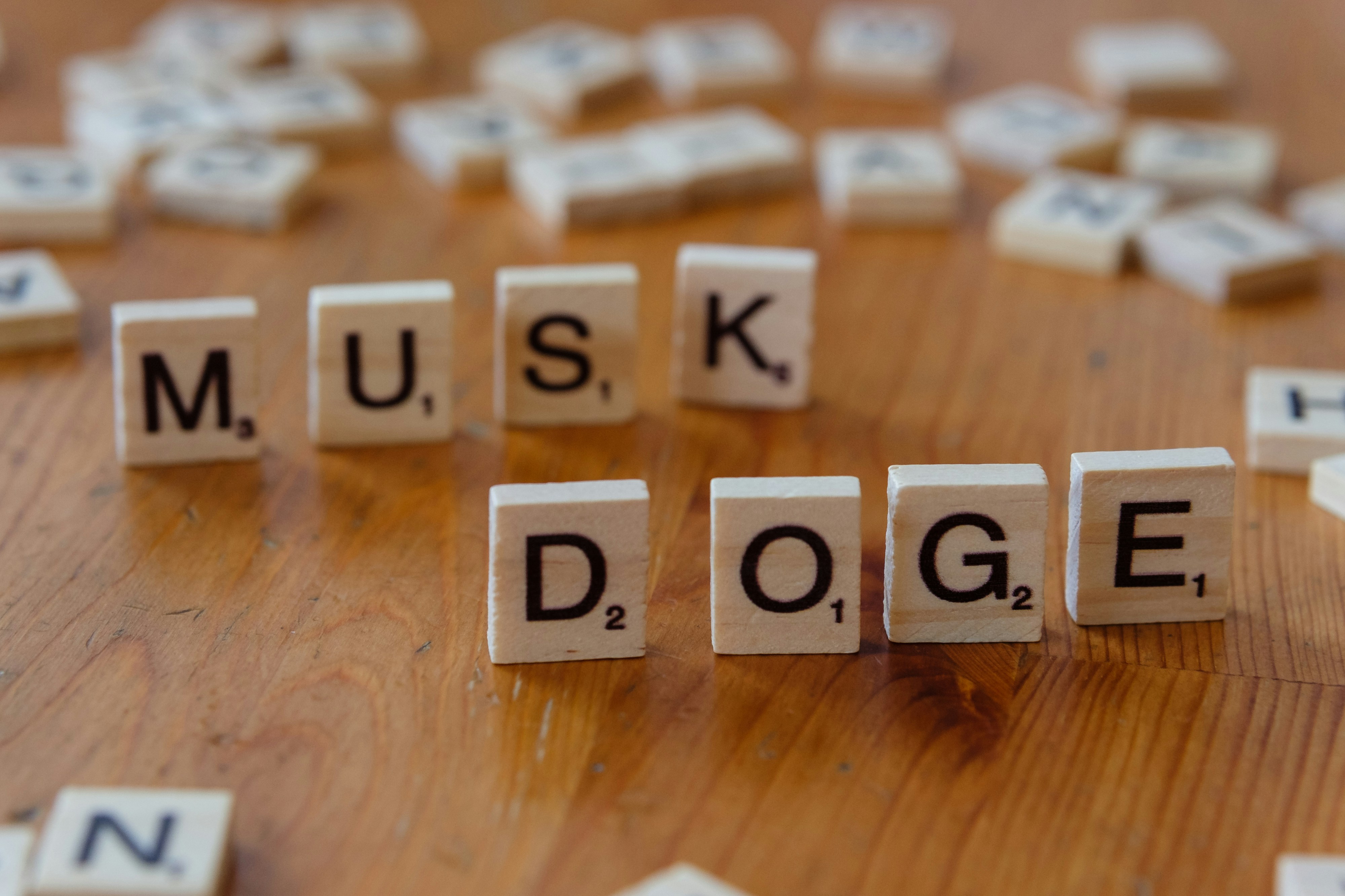 Musk's Claims: A Deeper Look