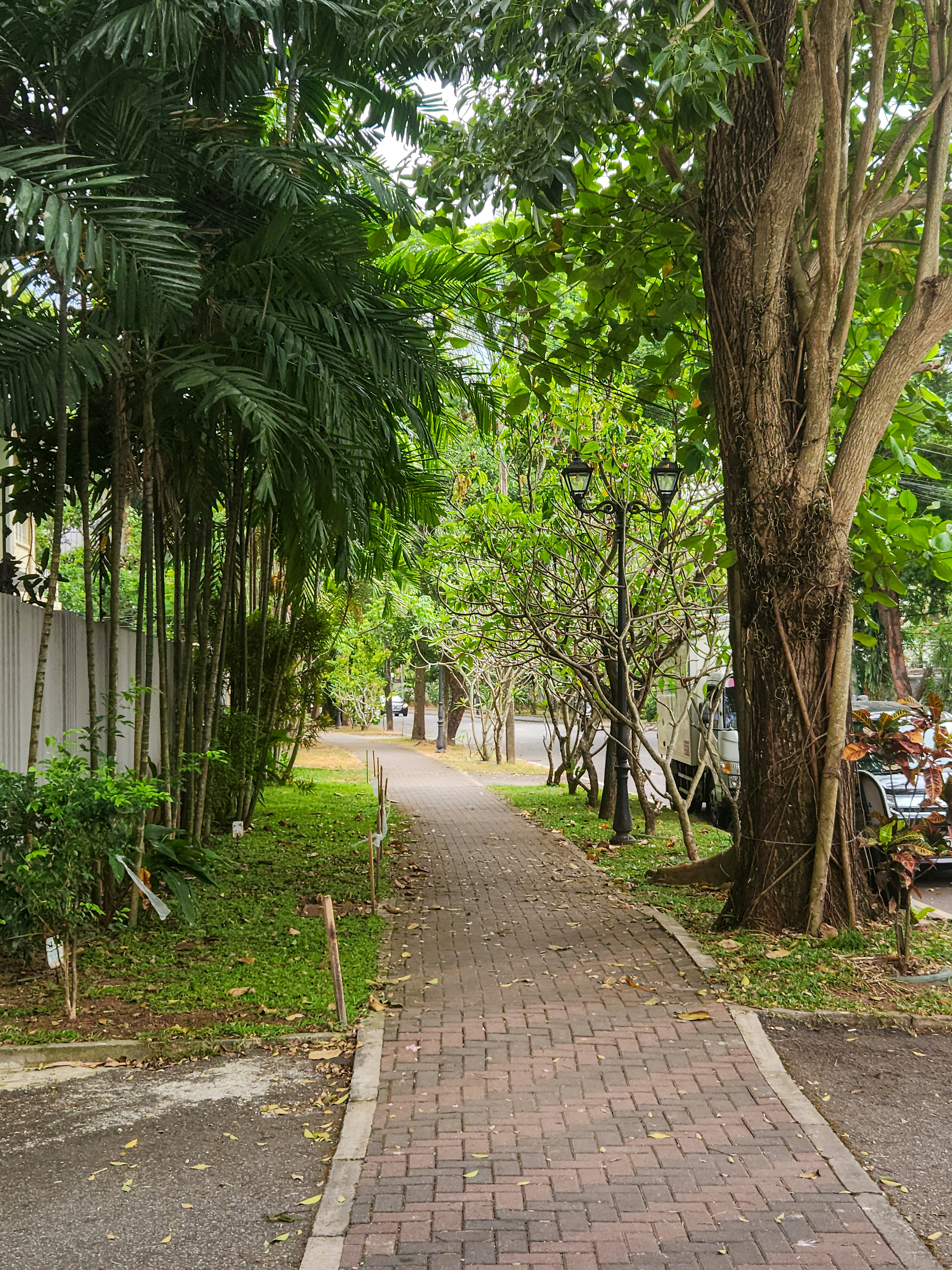 Photo by zoshuacolah