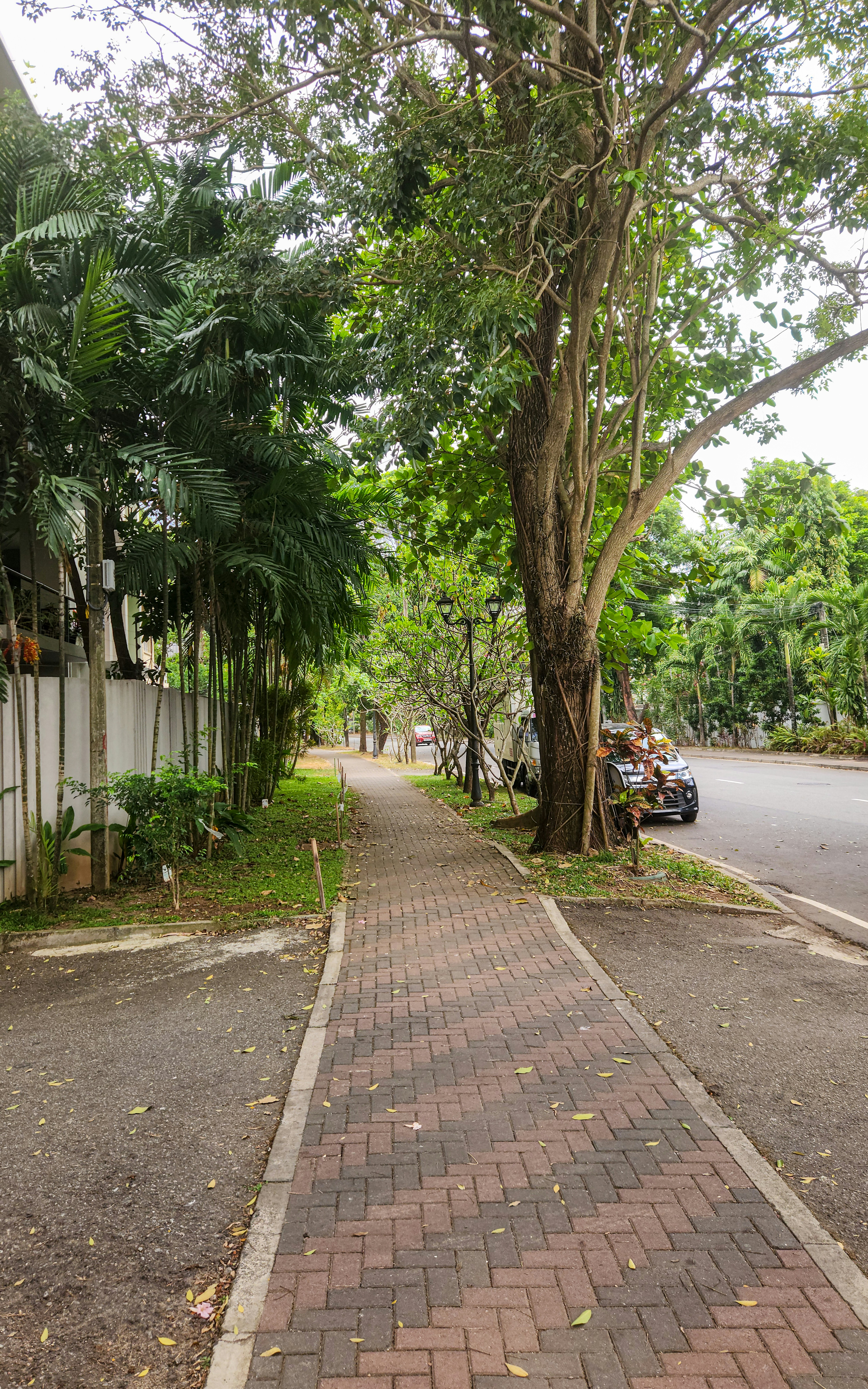 Photo by zoshuacolah