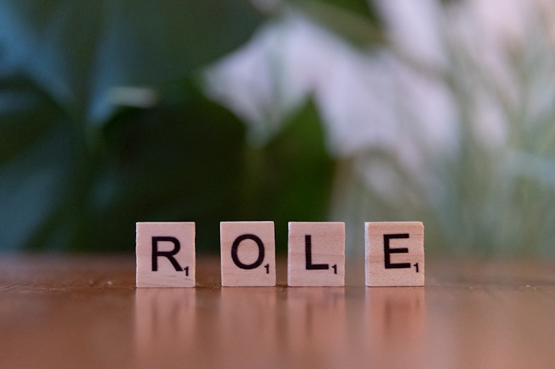 CareerTransition