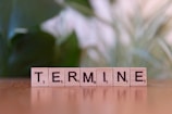 A scrabble type block spelling the word termine