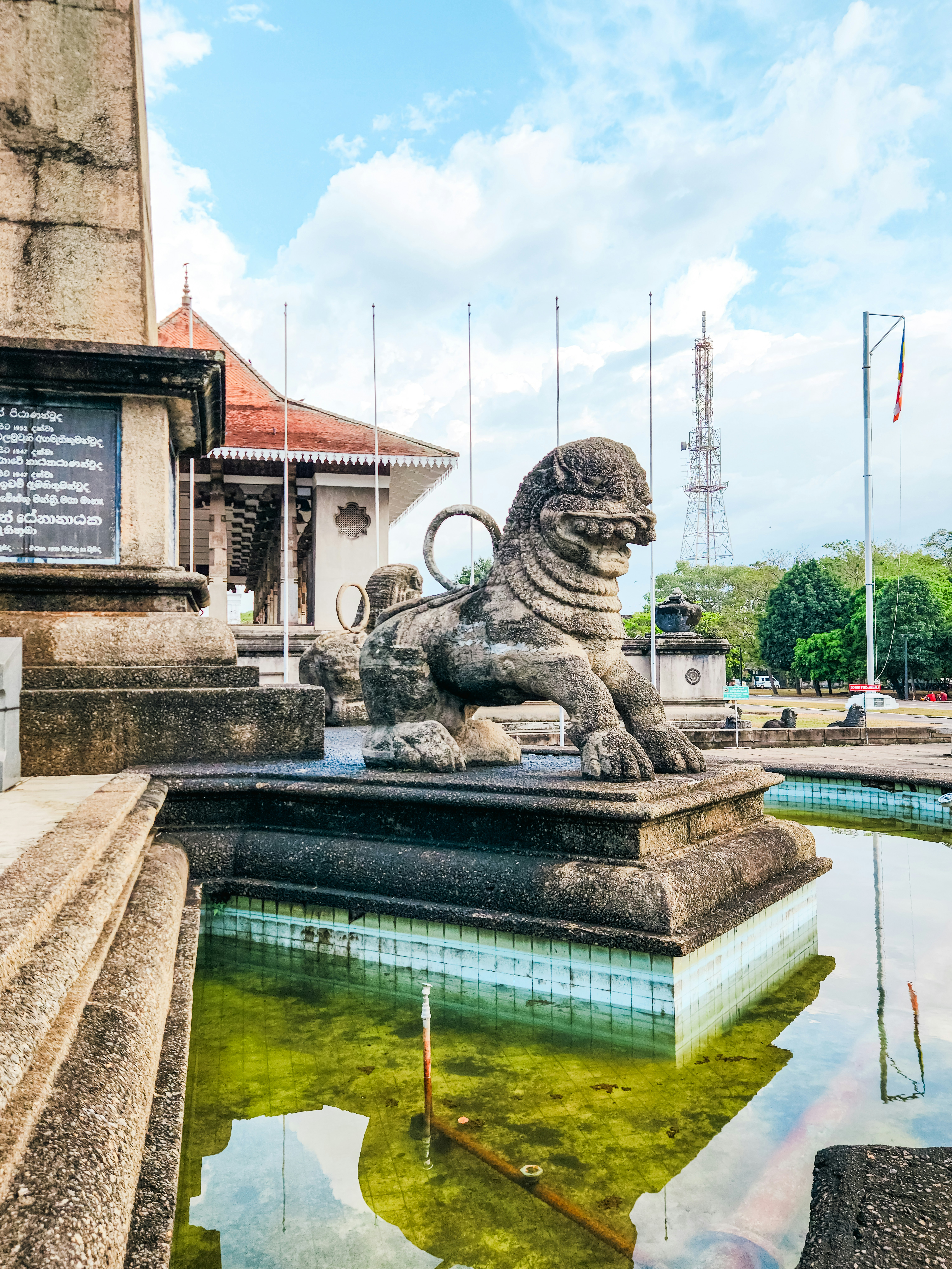 Namibian Independence Avenue photo 3