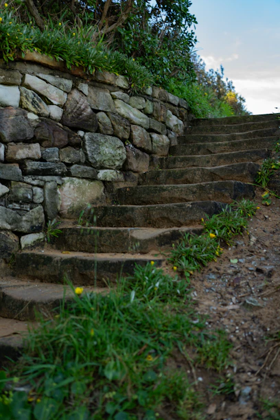 Stone steps lead uphill beside a stone wall.