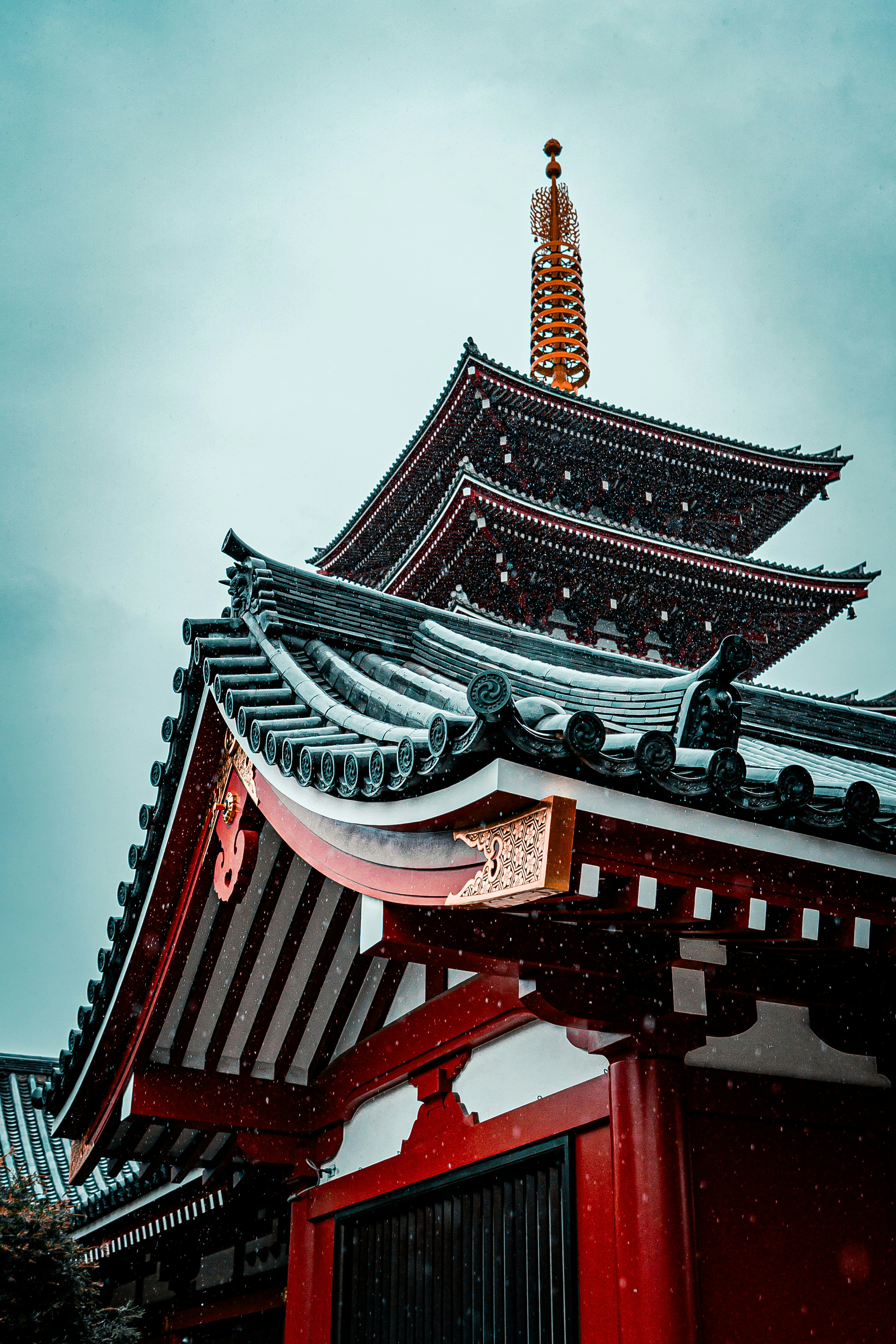 Photo by bgphotography