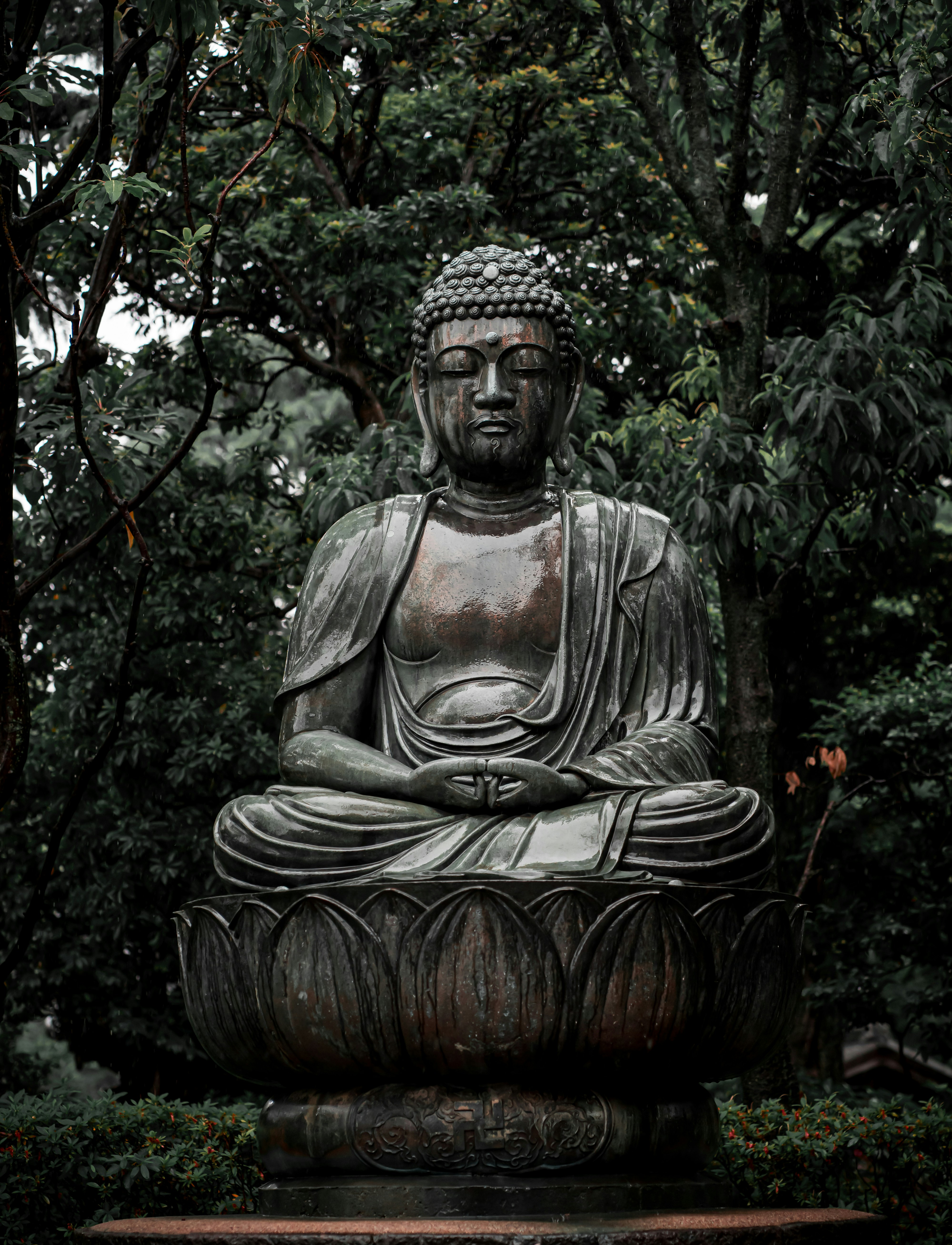 Photo by bgphotography