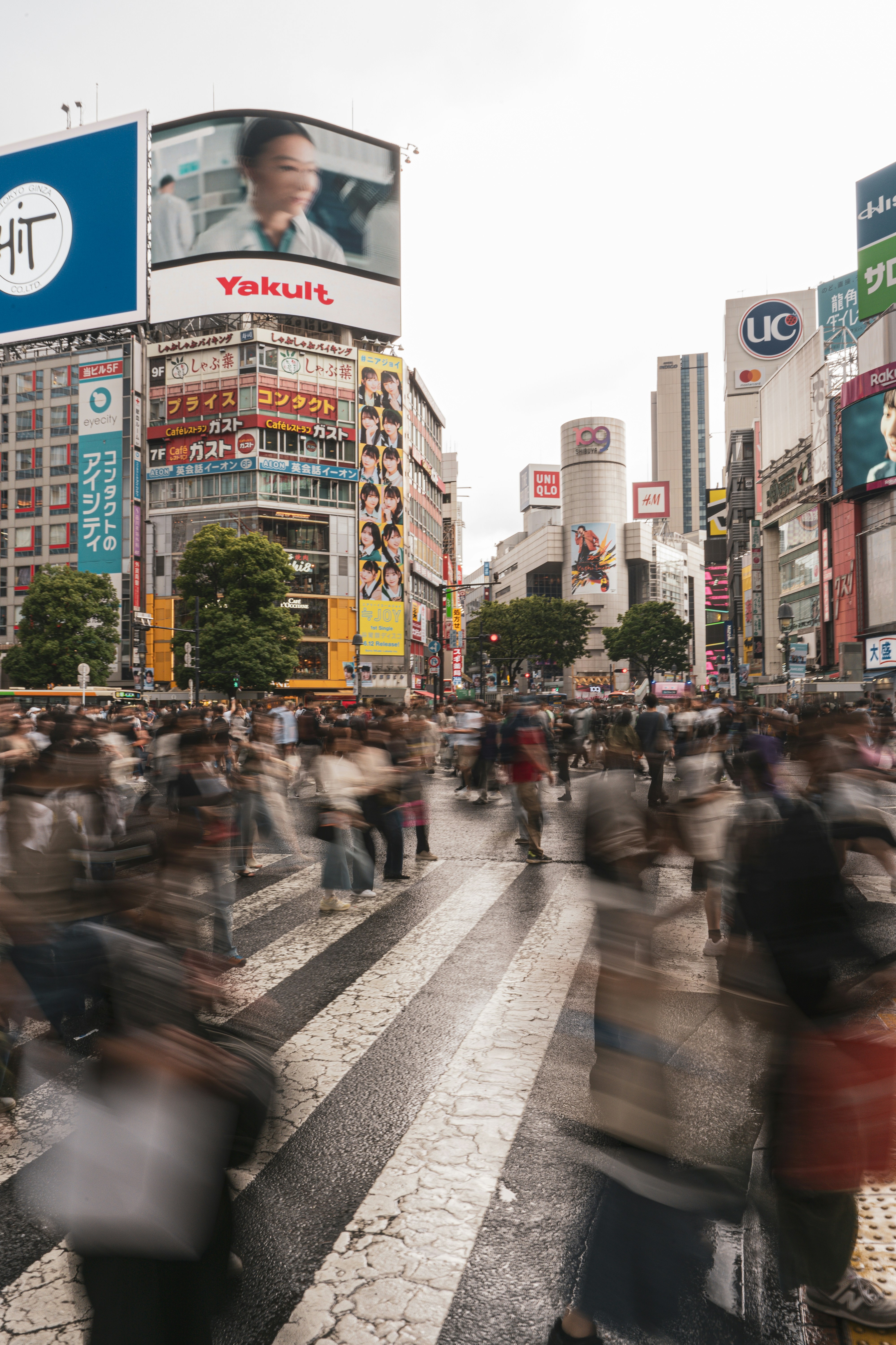 Photo by bgphotography