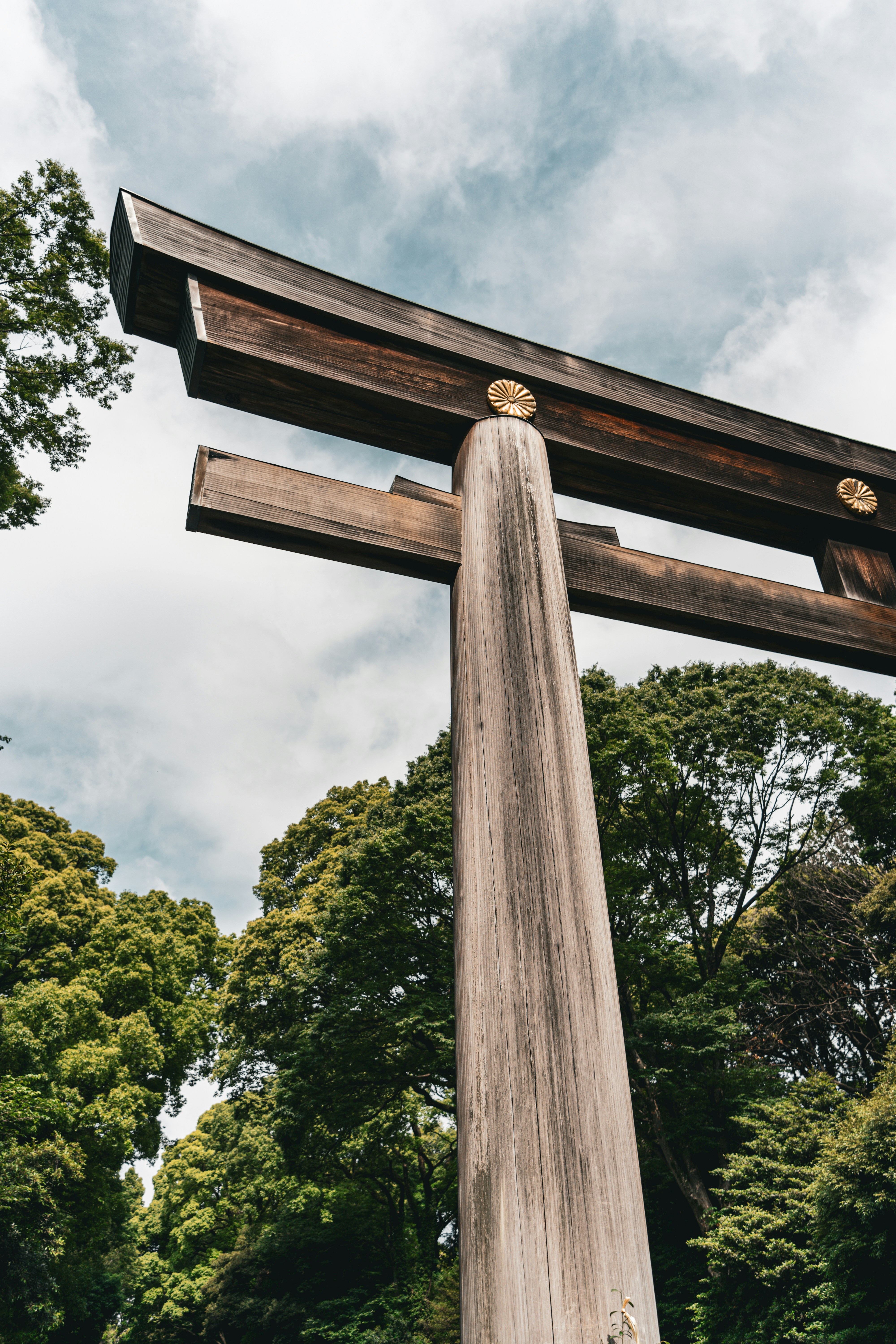 A majestic torii gate rises towards the sky.