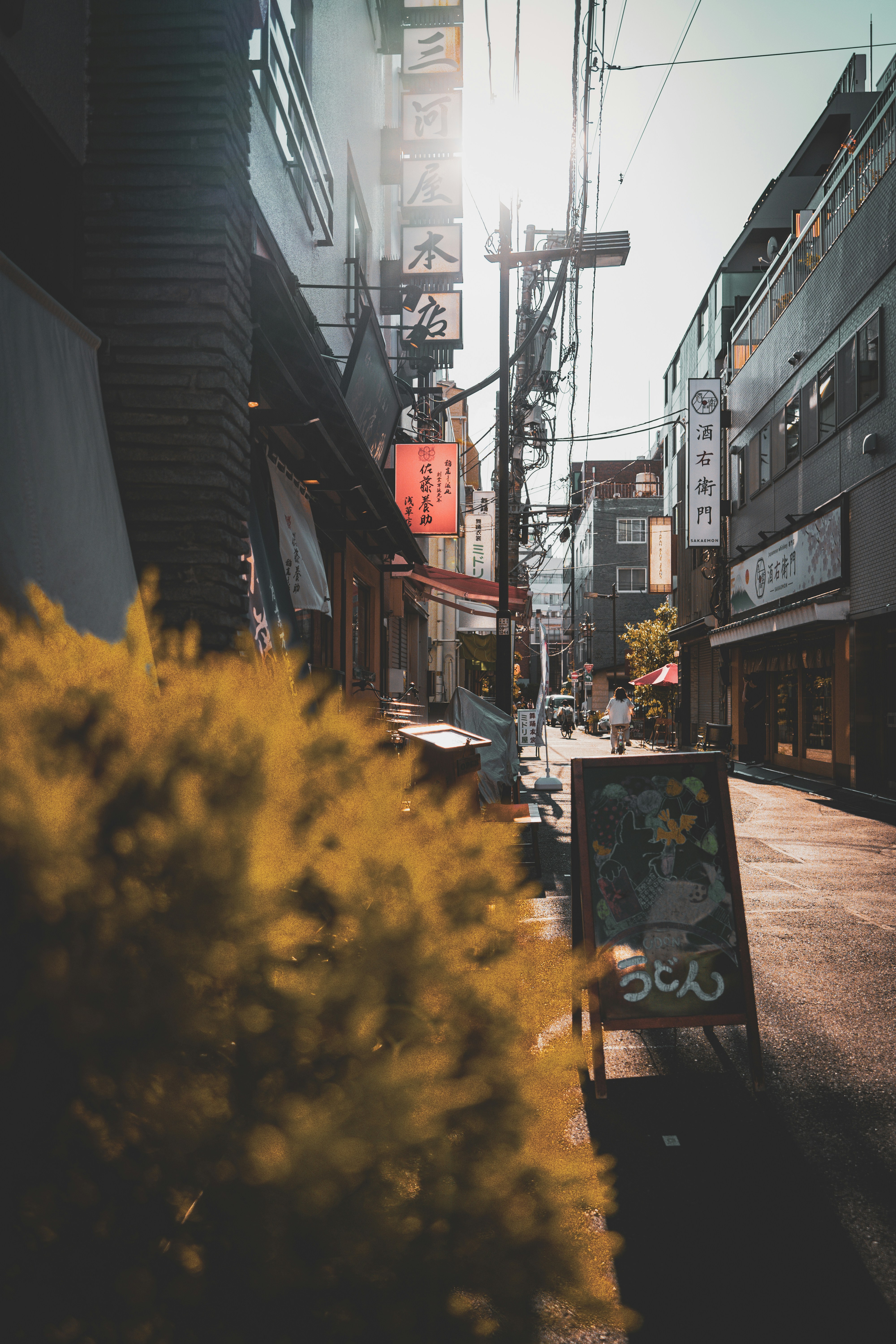 Photo by bgphotography