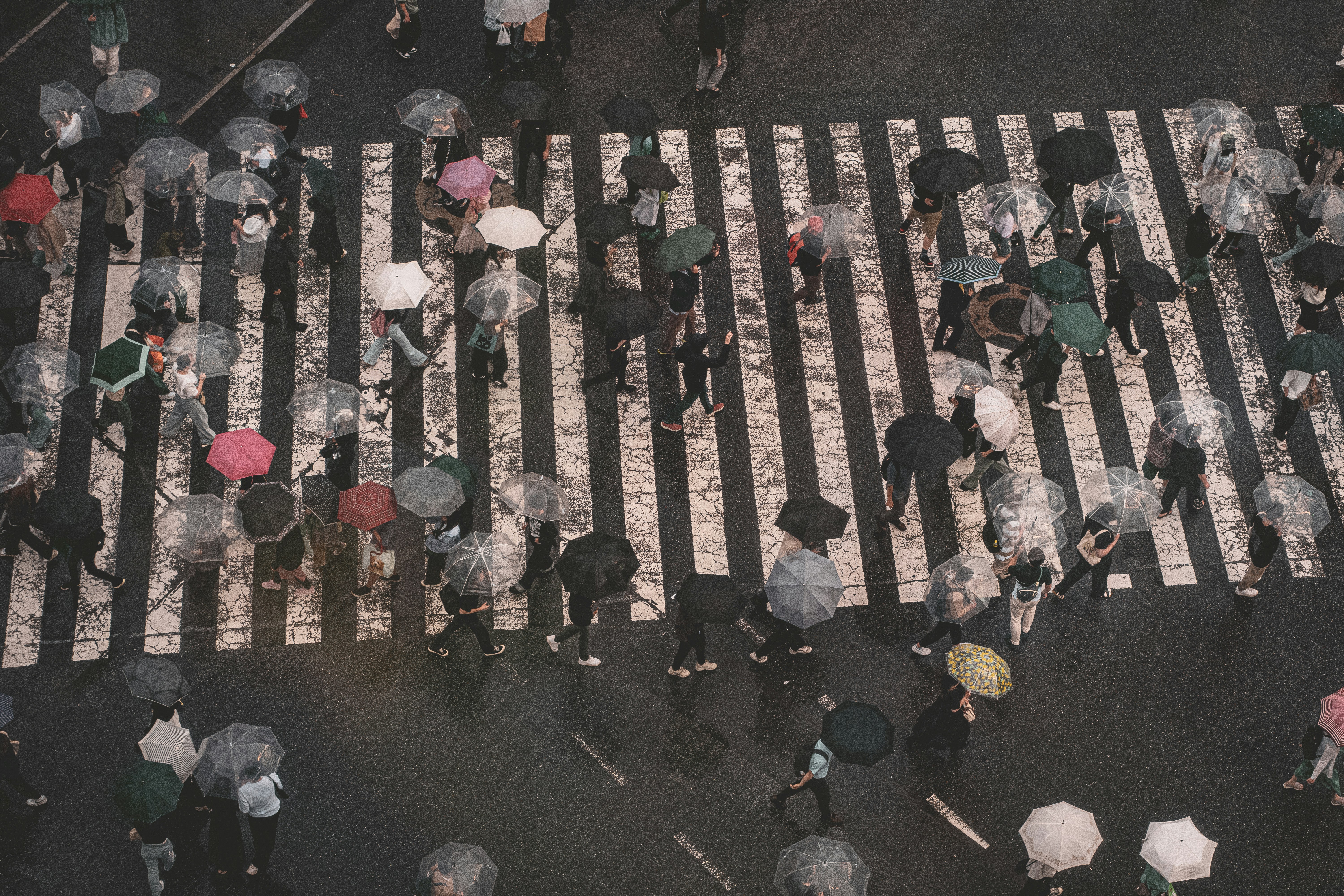 Photo by bgphotography